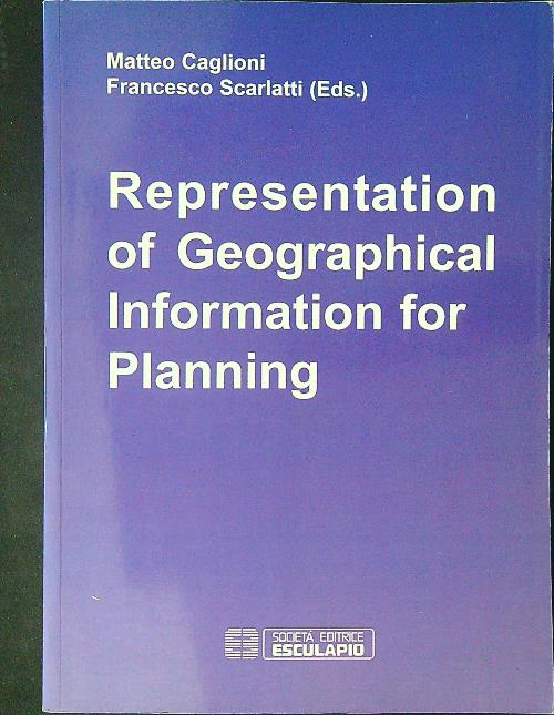 Representation of geographical information for planning