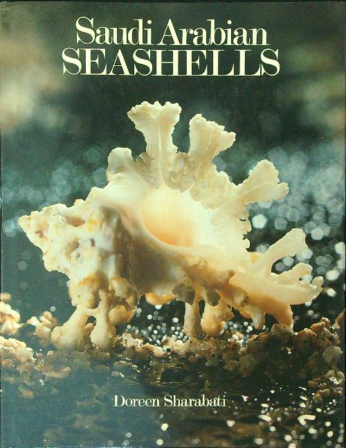 Saudi Arabian Seashells