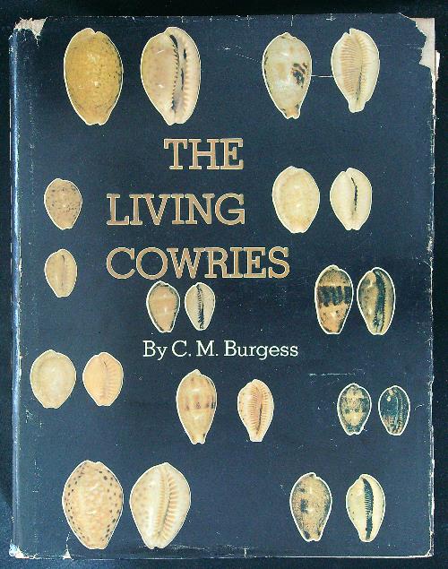 The living cowries