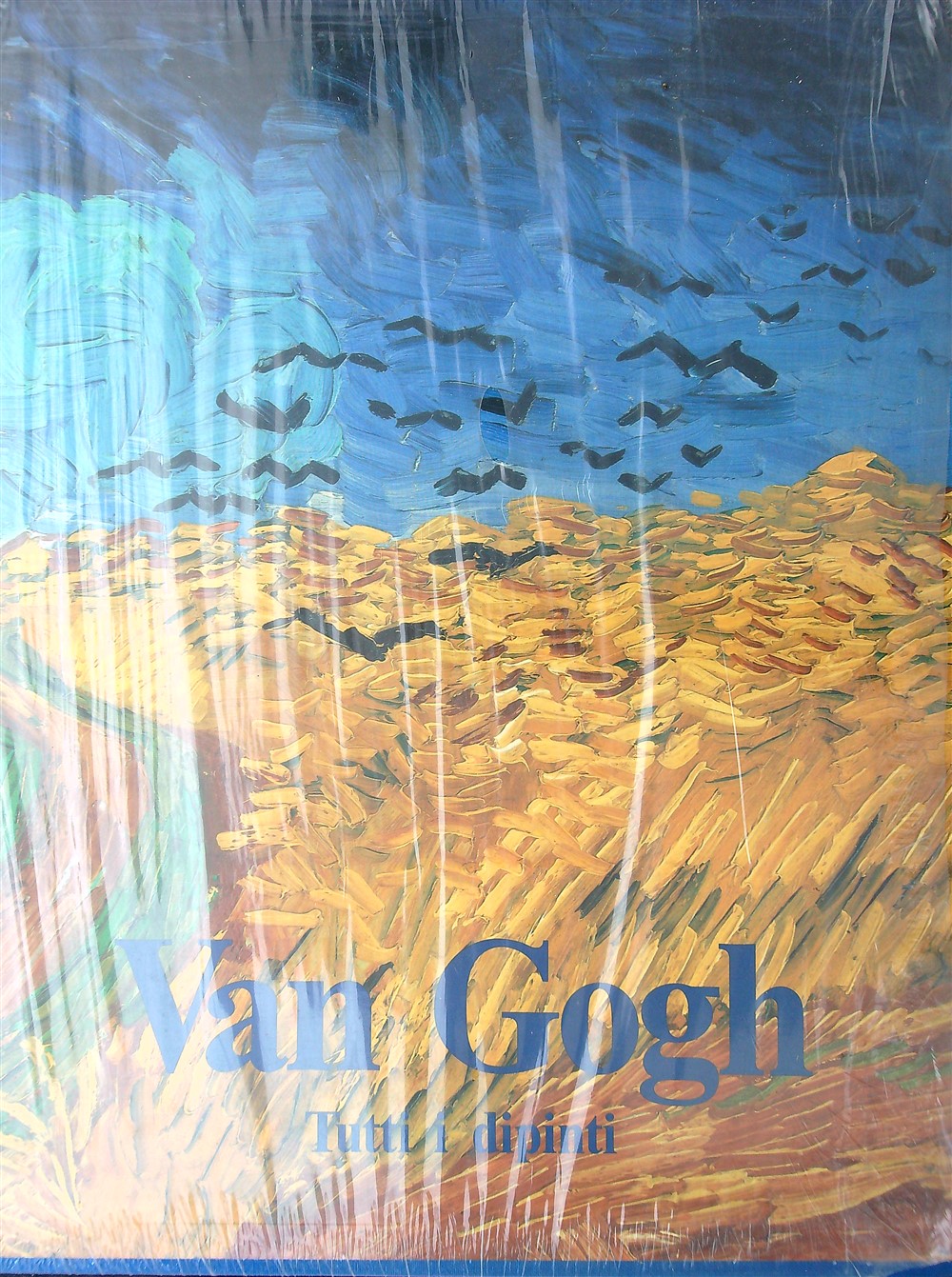 Van Gogh Tutti i dipinti 2 vv