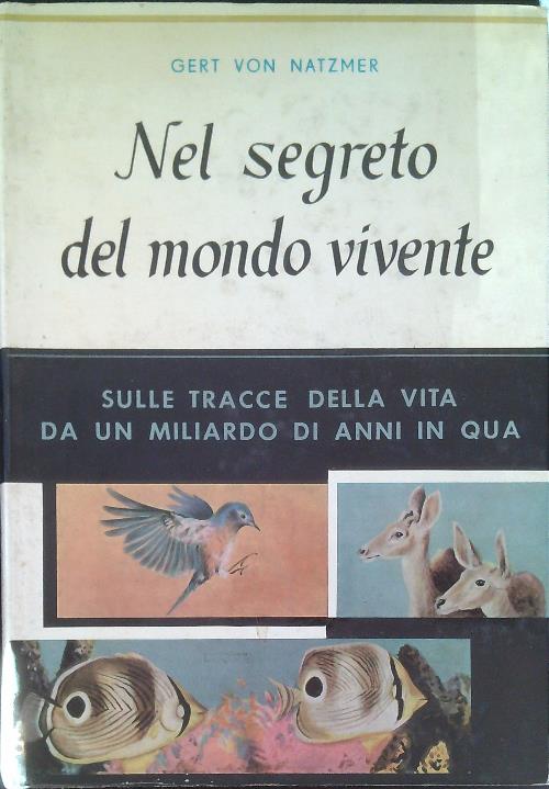 Viaggio per acqua. Mozia