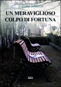 Un meraviglioso colpo di fortuna