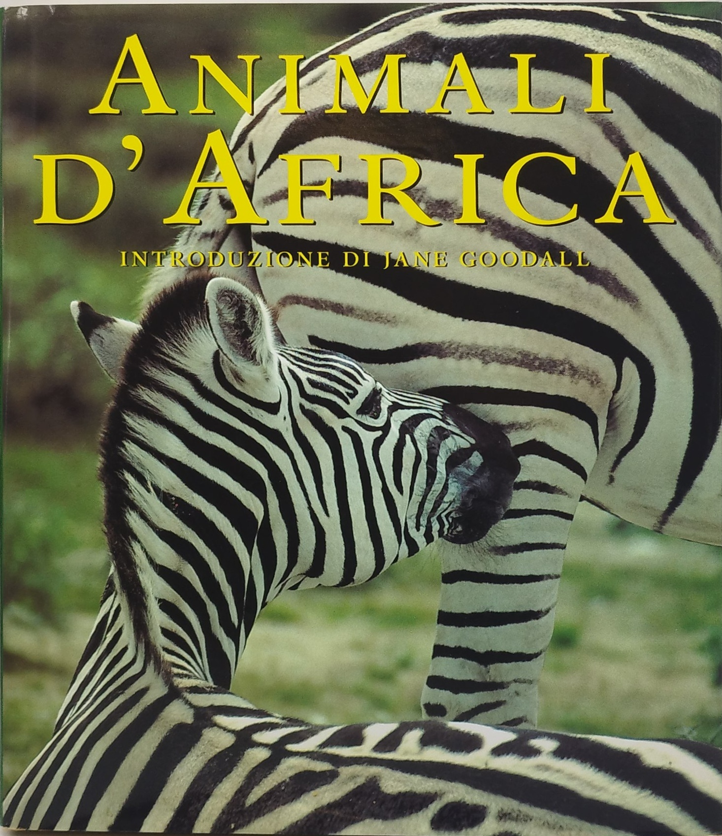 animali d'afica introduzione di jane goodall