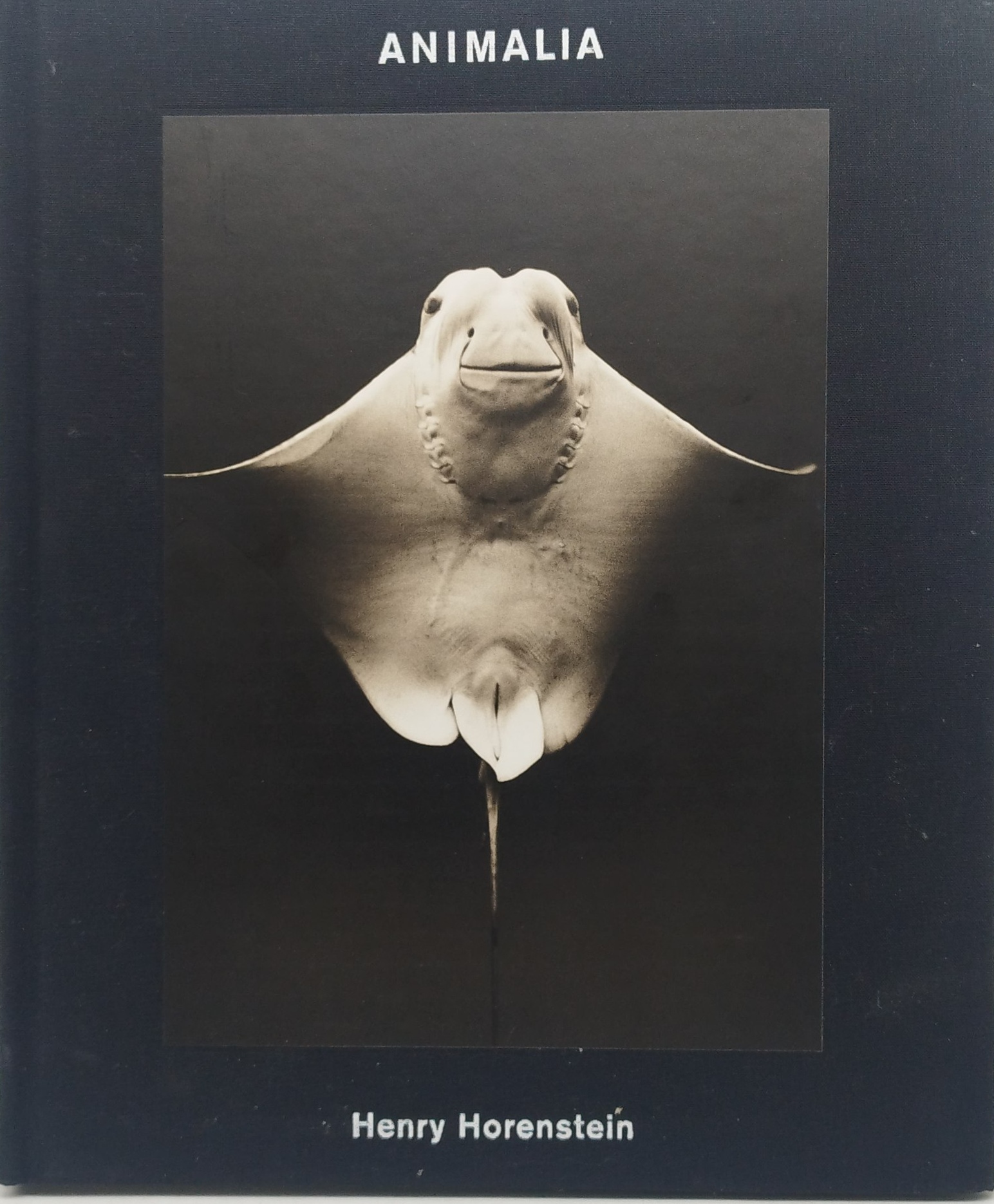 animali henry horenstein