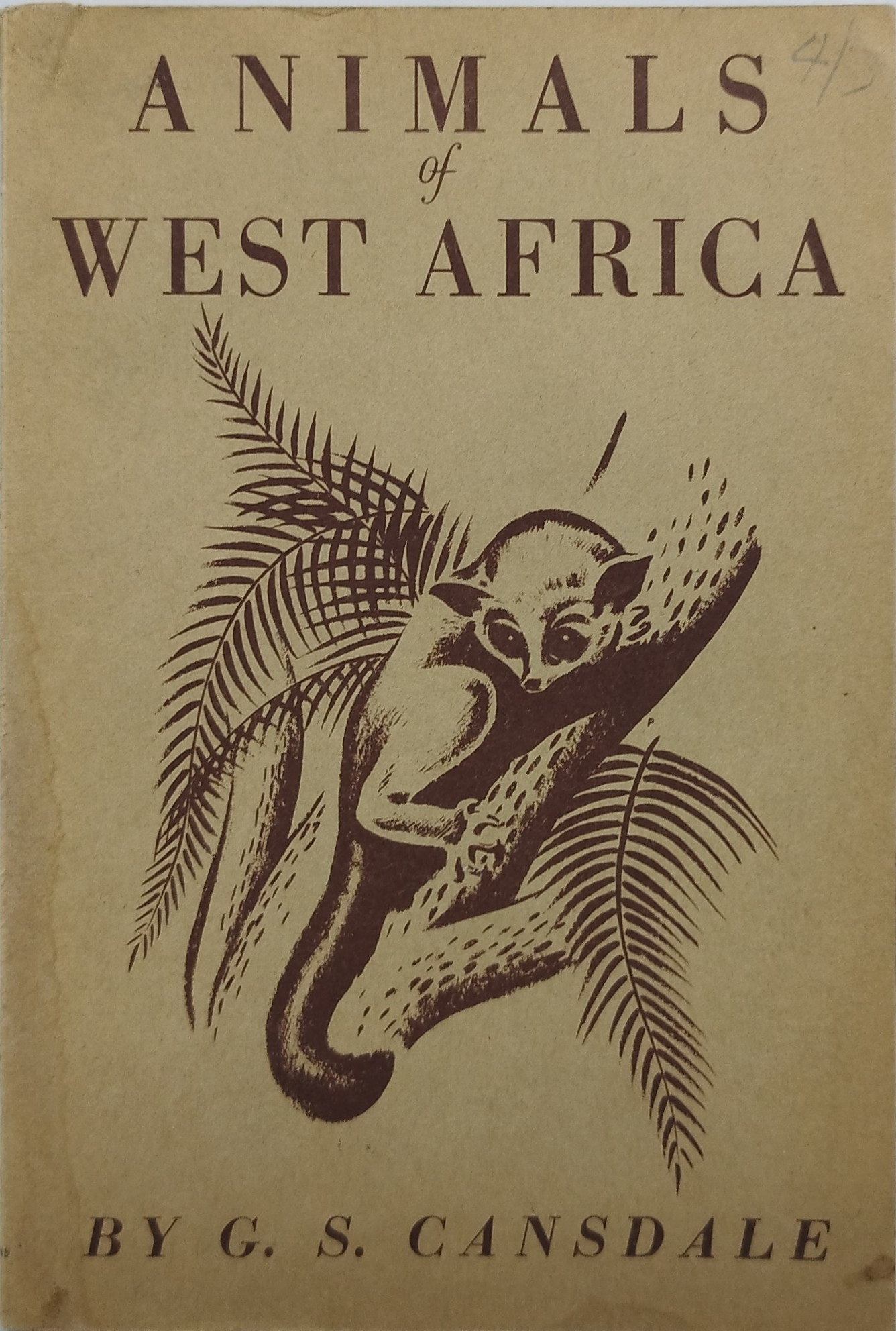 animals of west africa