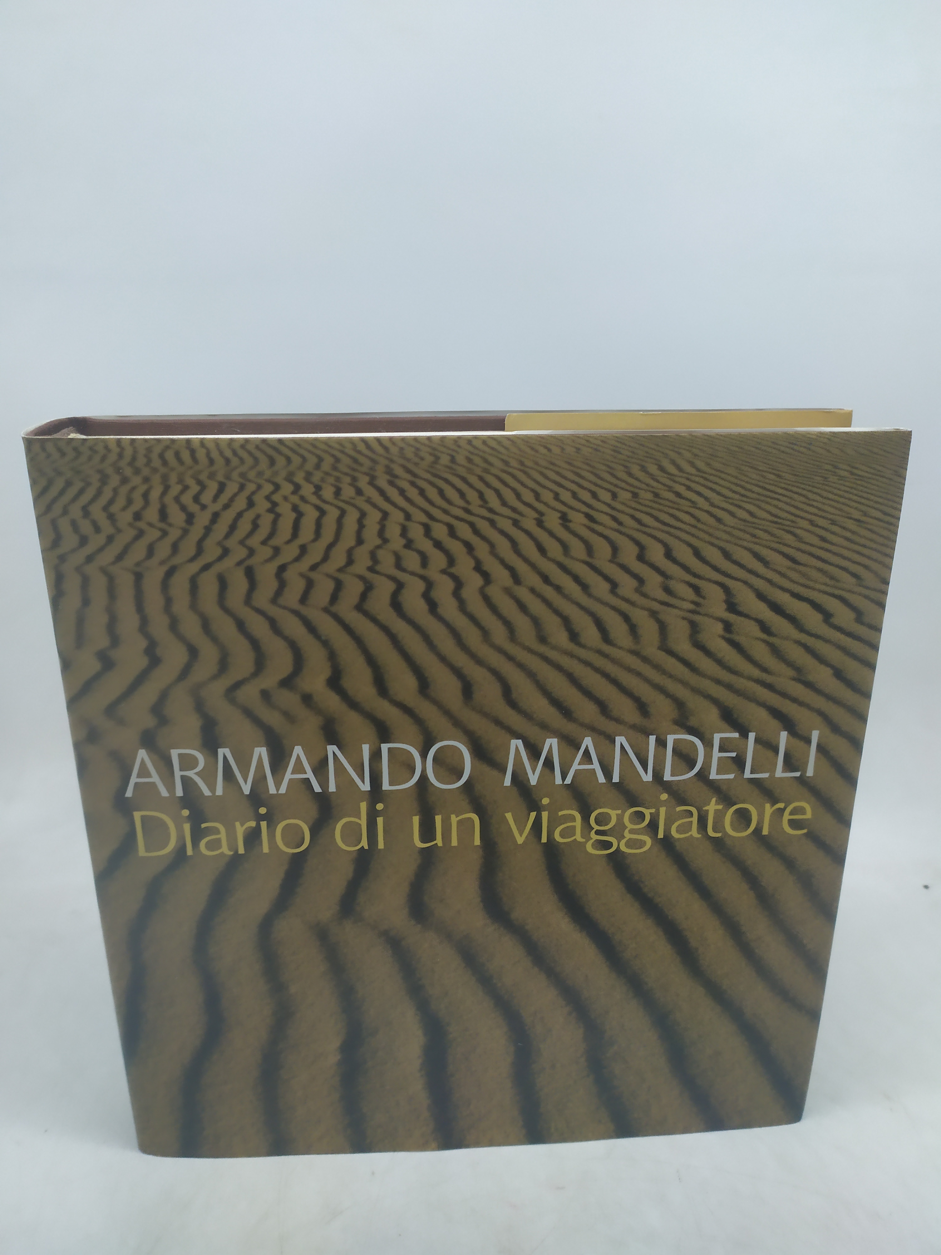 armando mandelli diario di un viaggiatore