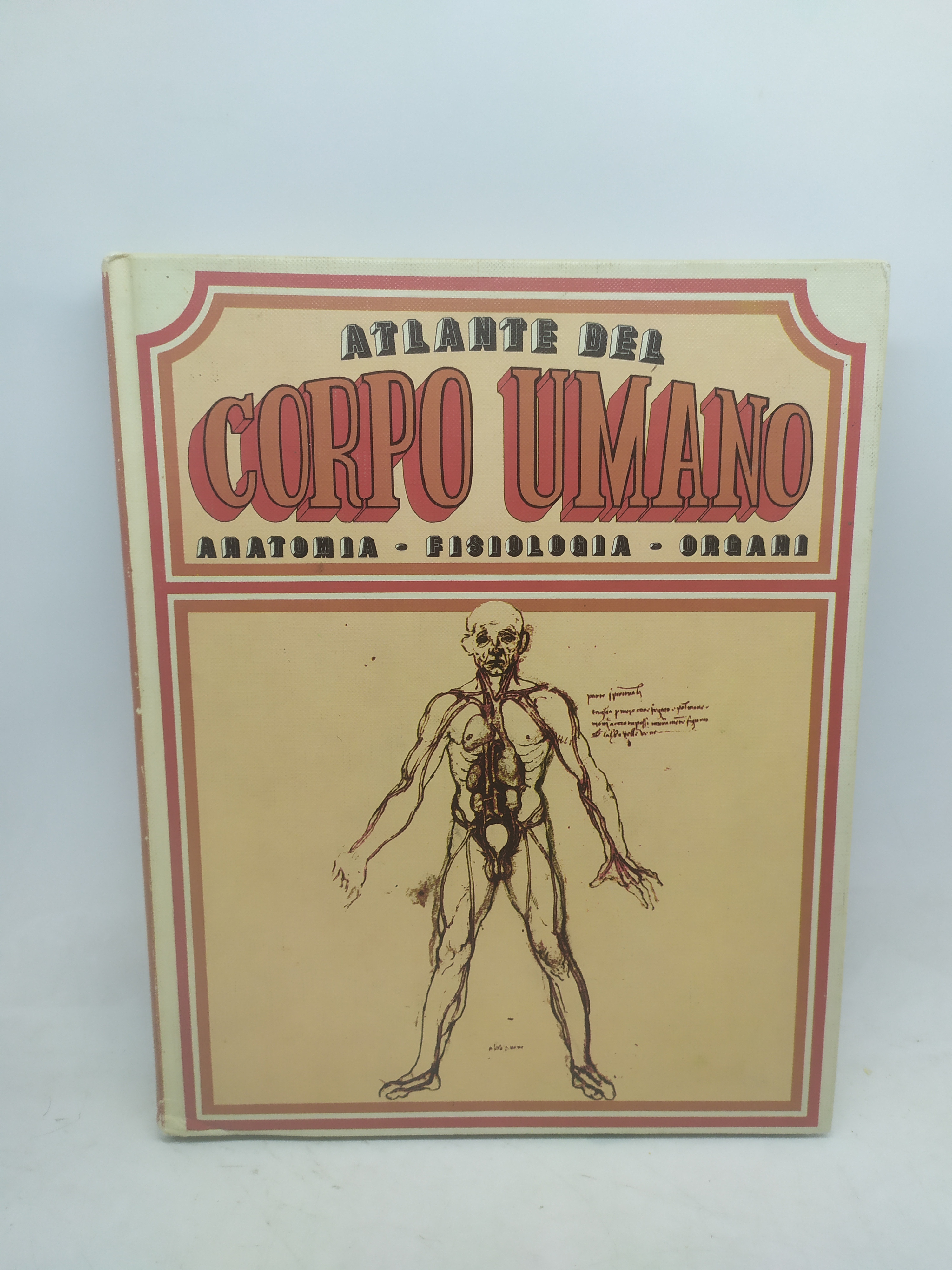 atlante del corpo umano anatomia fisiologia organi