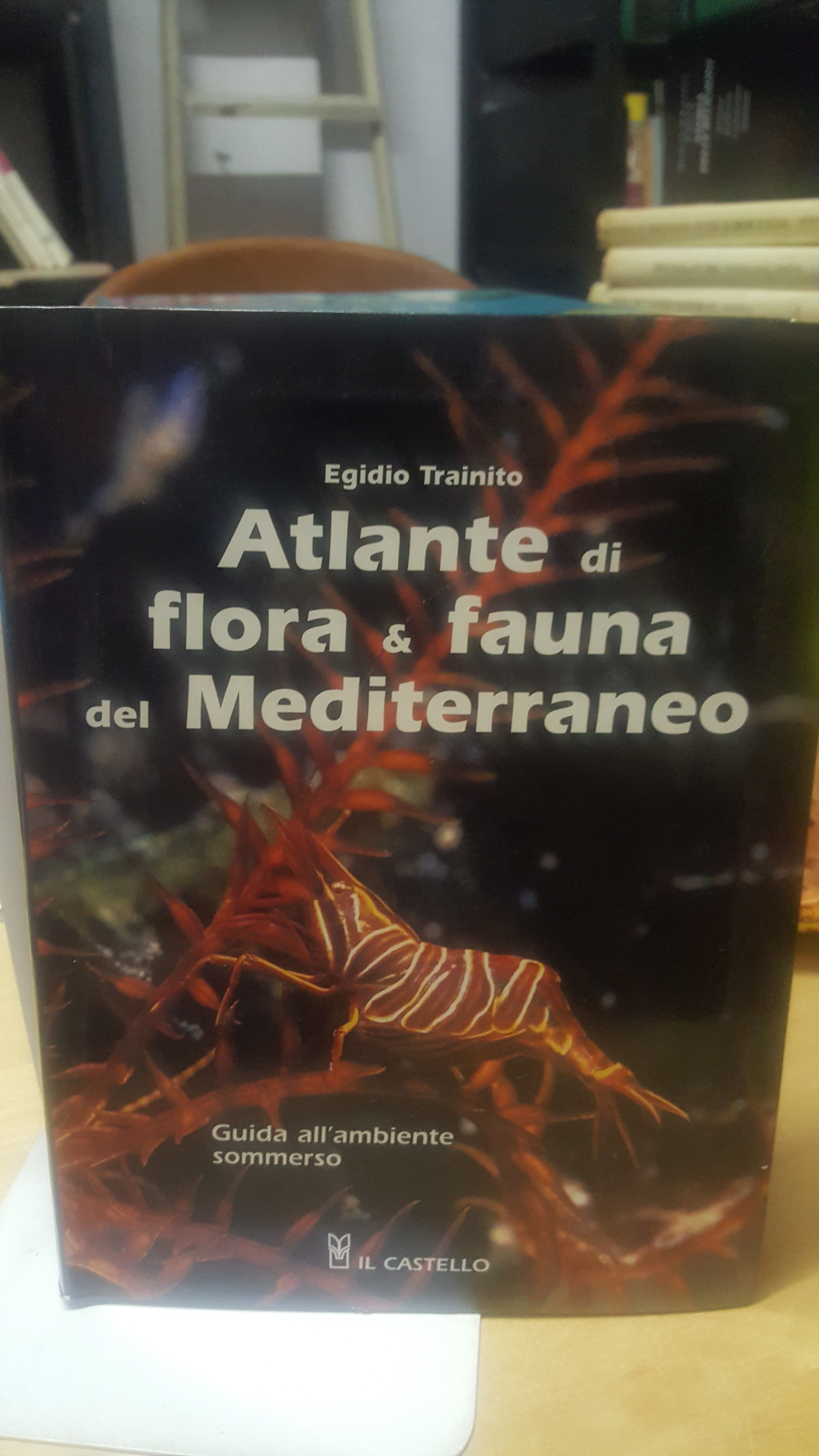 atlante di flora e fauna del mediterraneo egidio trainito