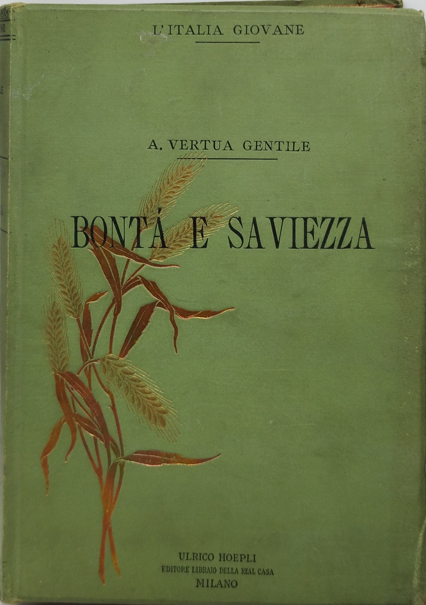 bontà e saviezza vertua gentile hoepli