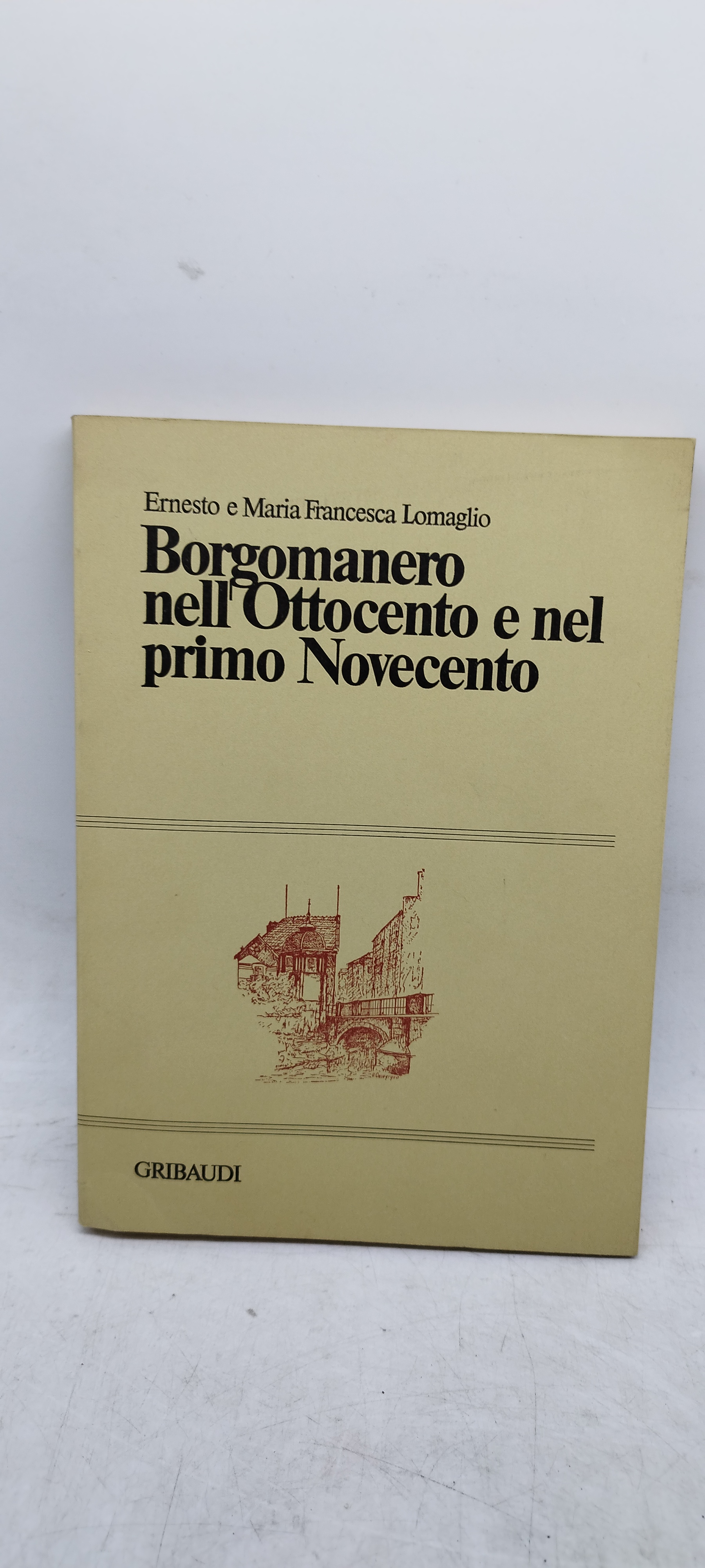 borgomanero nell'ottocento e nel primo novecento gribaudo