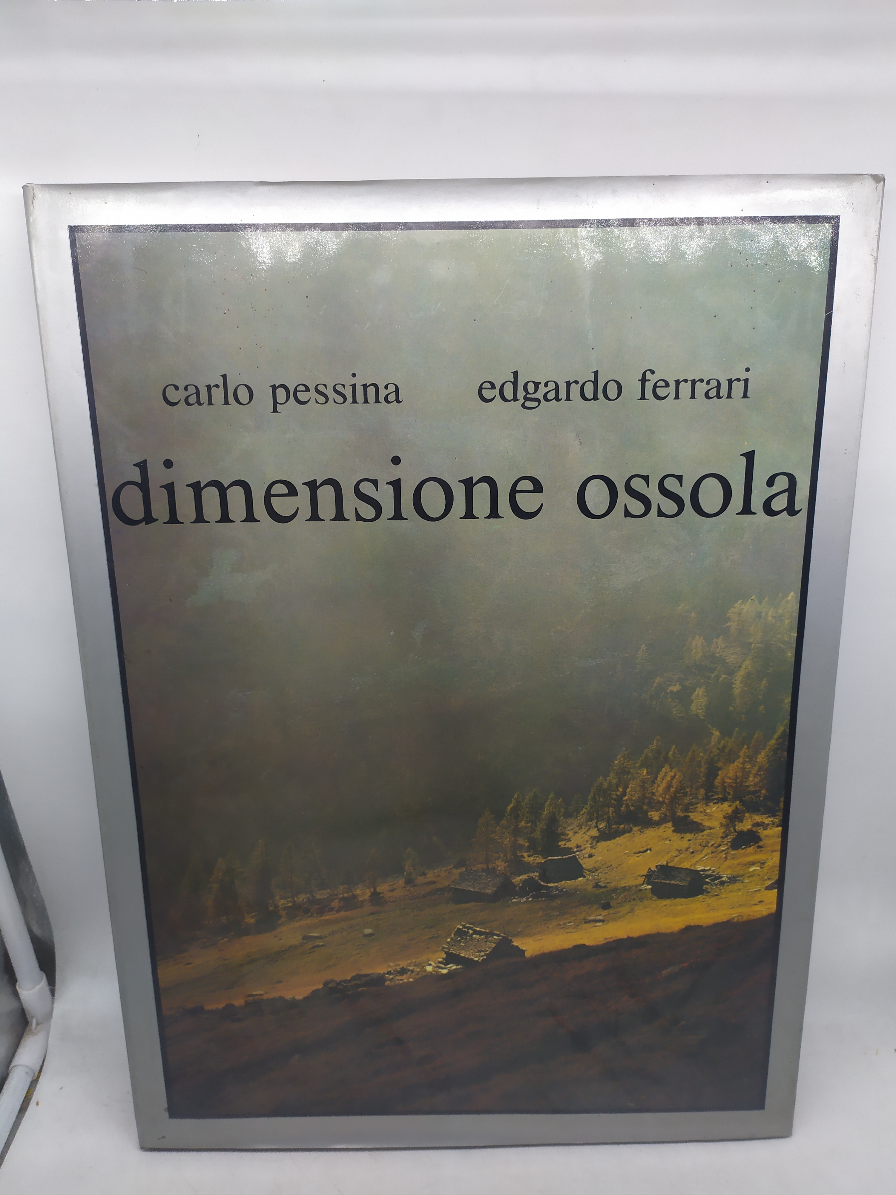 carlo pessina edgardo ferrari dimensione ossola