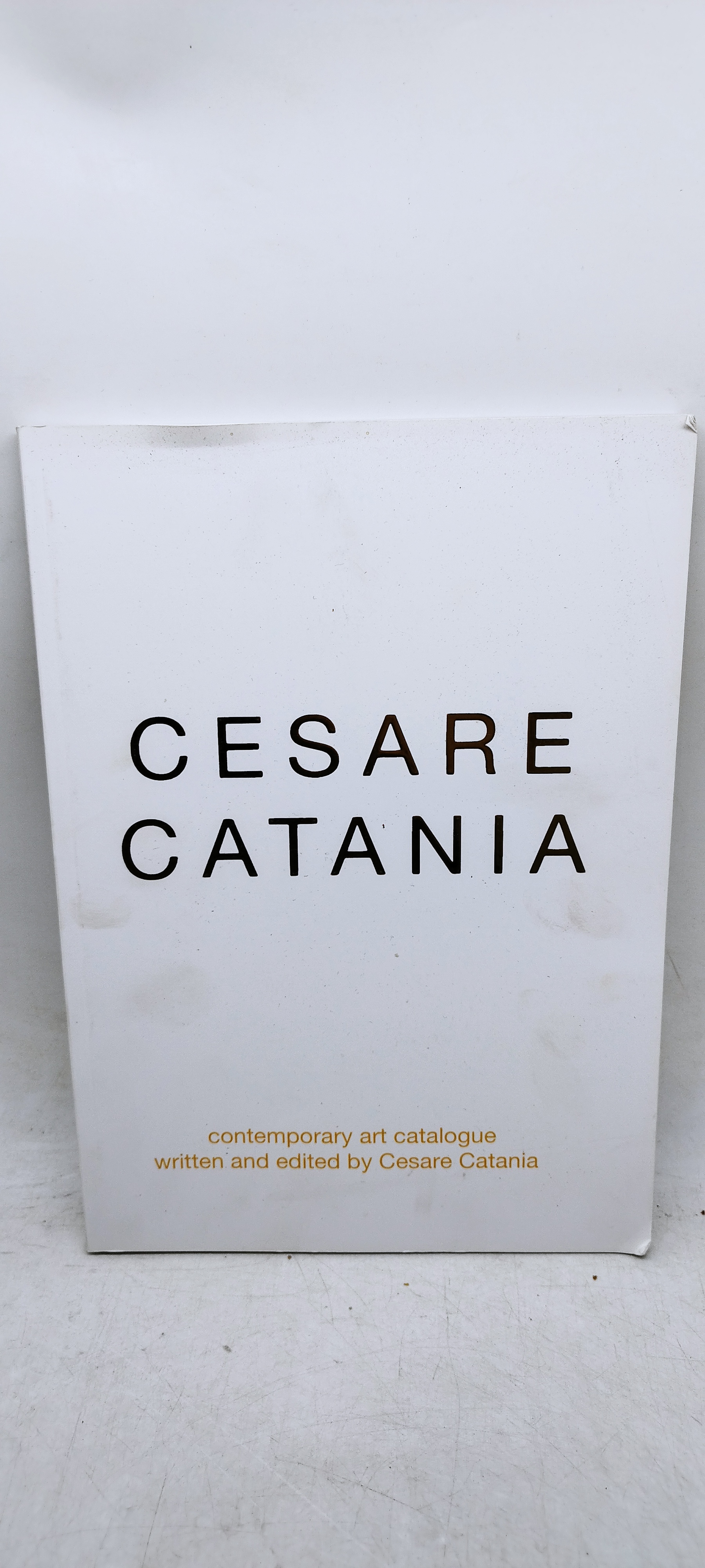 cesare catania contemporary art catalogue written and edited by cesare …
