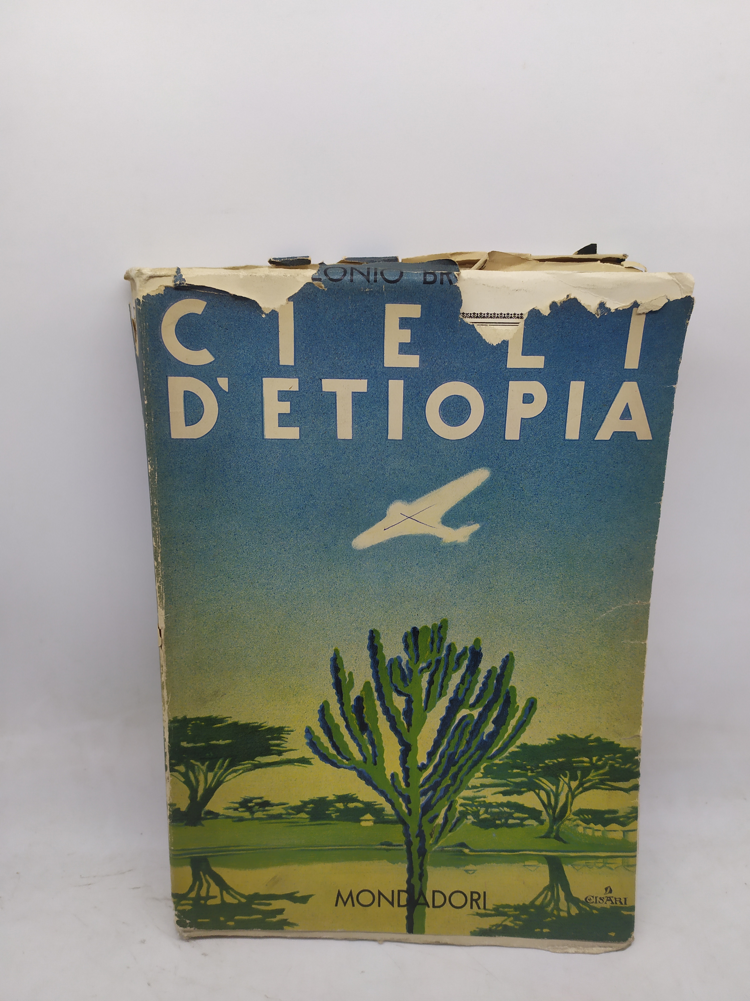 cielo d'etiopia mondadori 1936