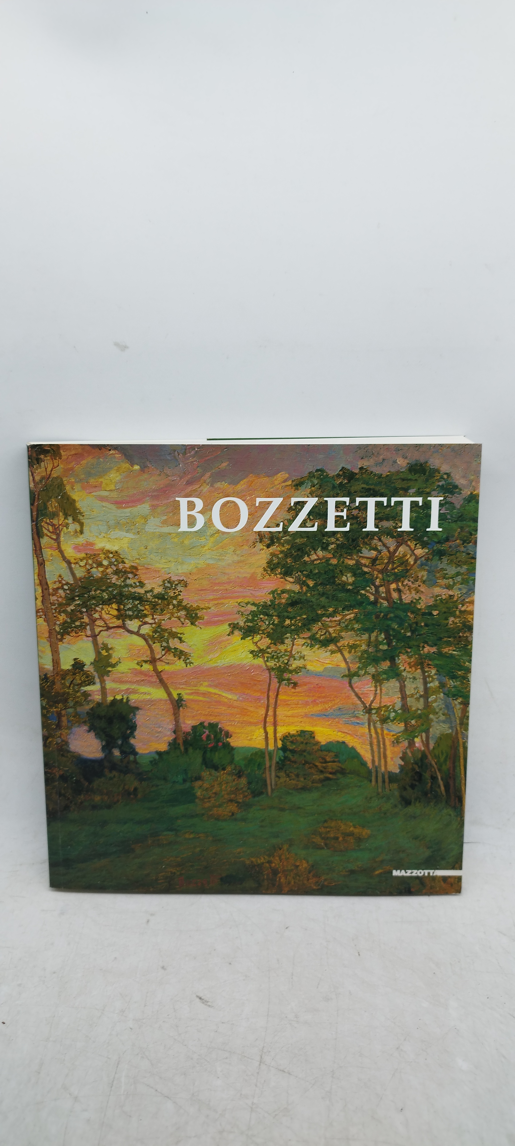 Cino Bozzetti (1876-1949). Catalogo della mostra (Alessandria, 2001-2002)