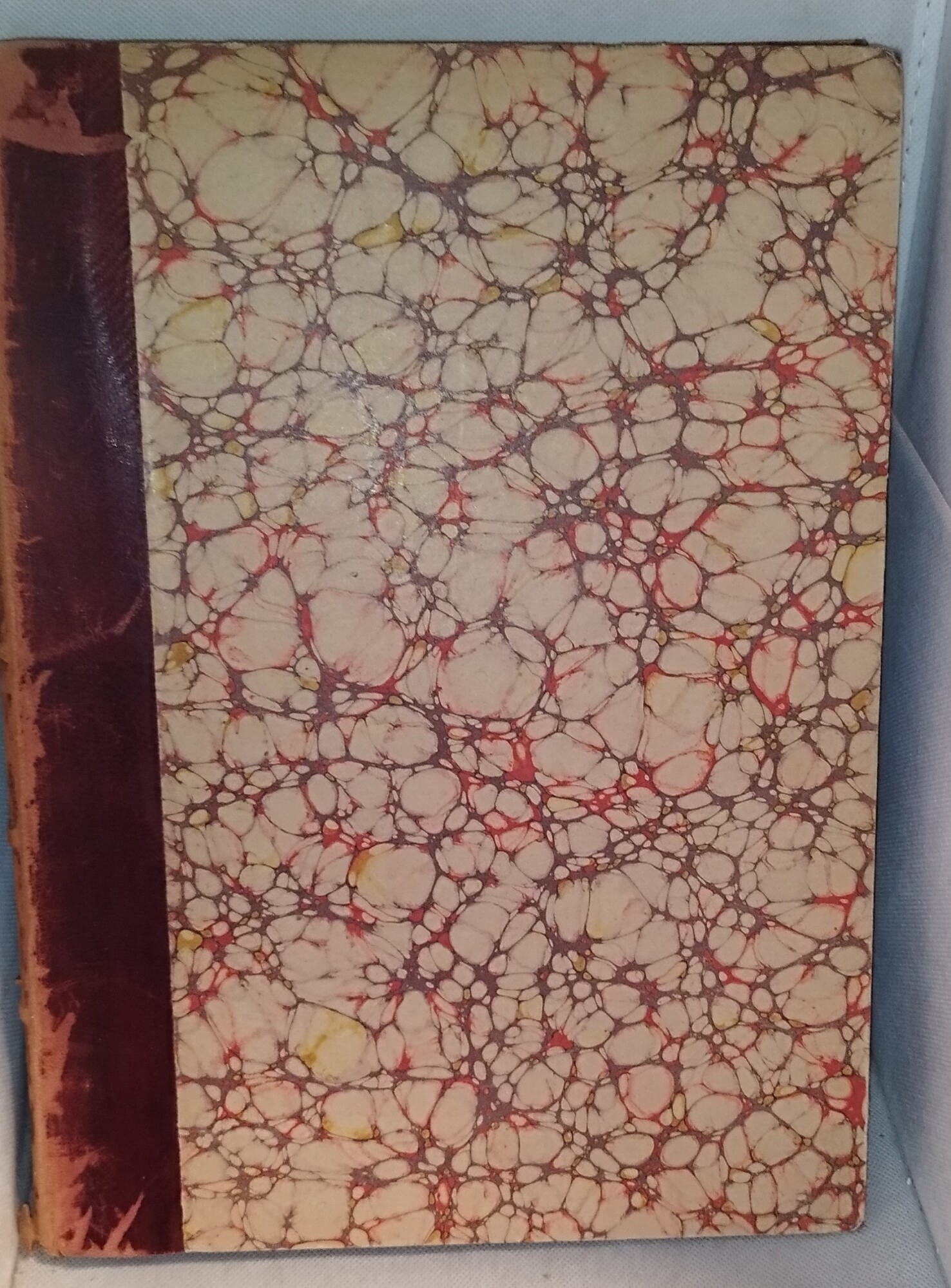 come vissero i primi conti di savoia da umberto biancamano