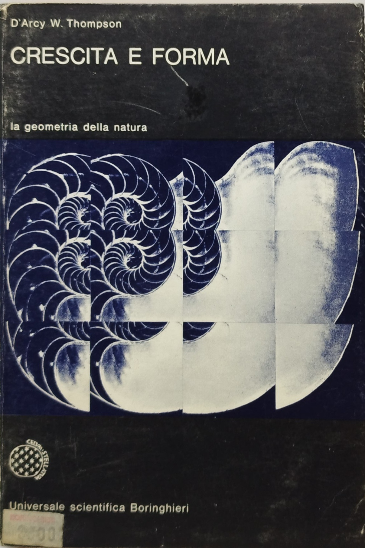 crescita e forma la geometria della natura