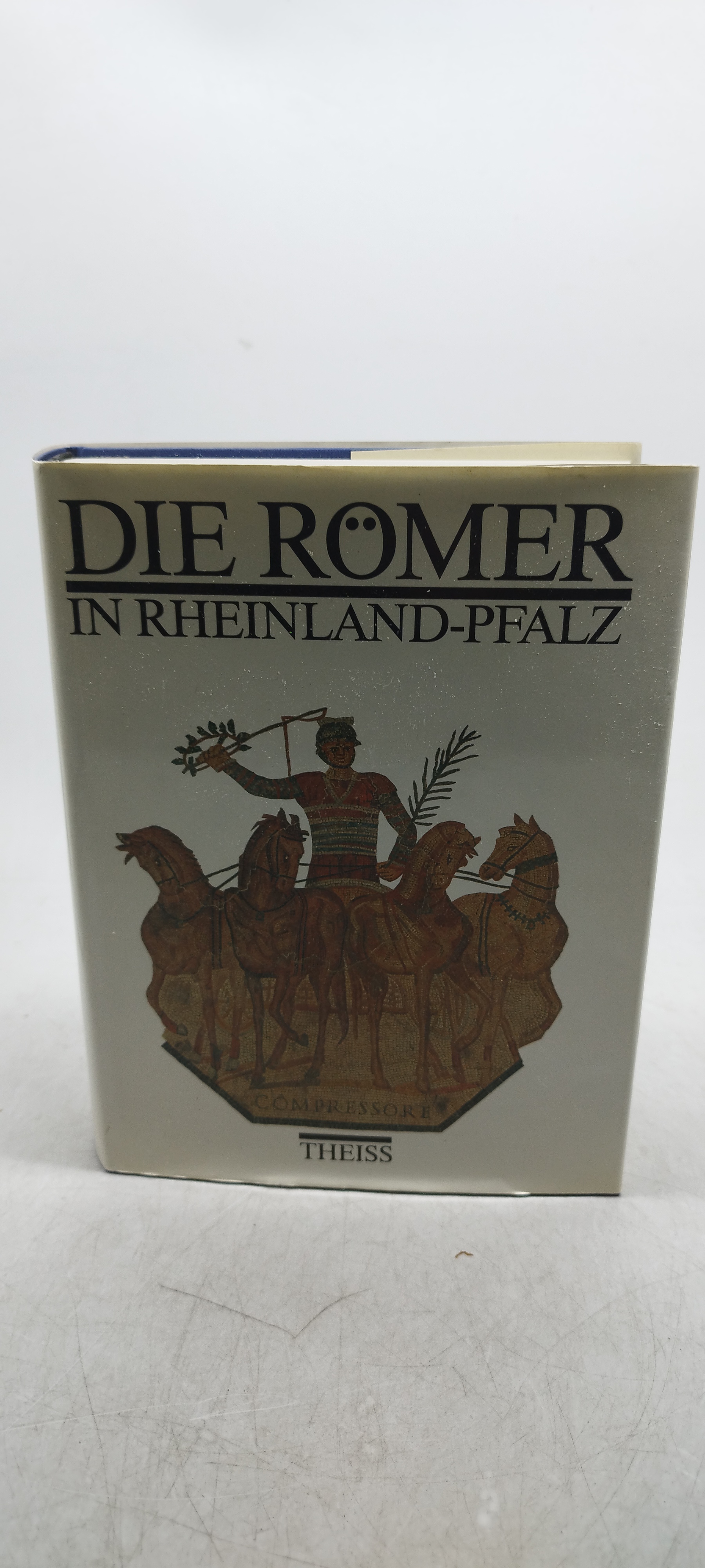 die romer in rheinland pfalz theiss