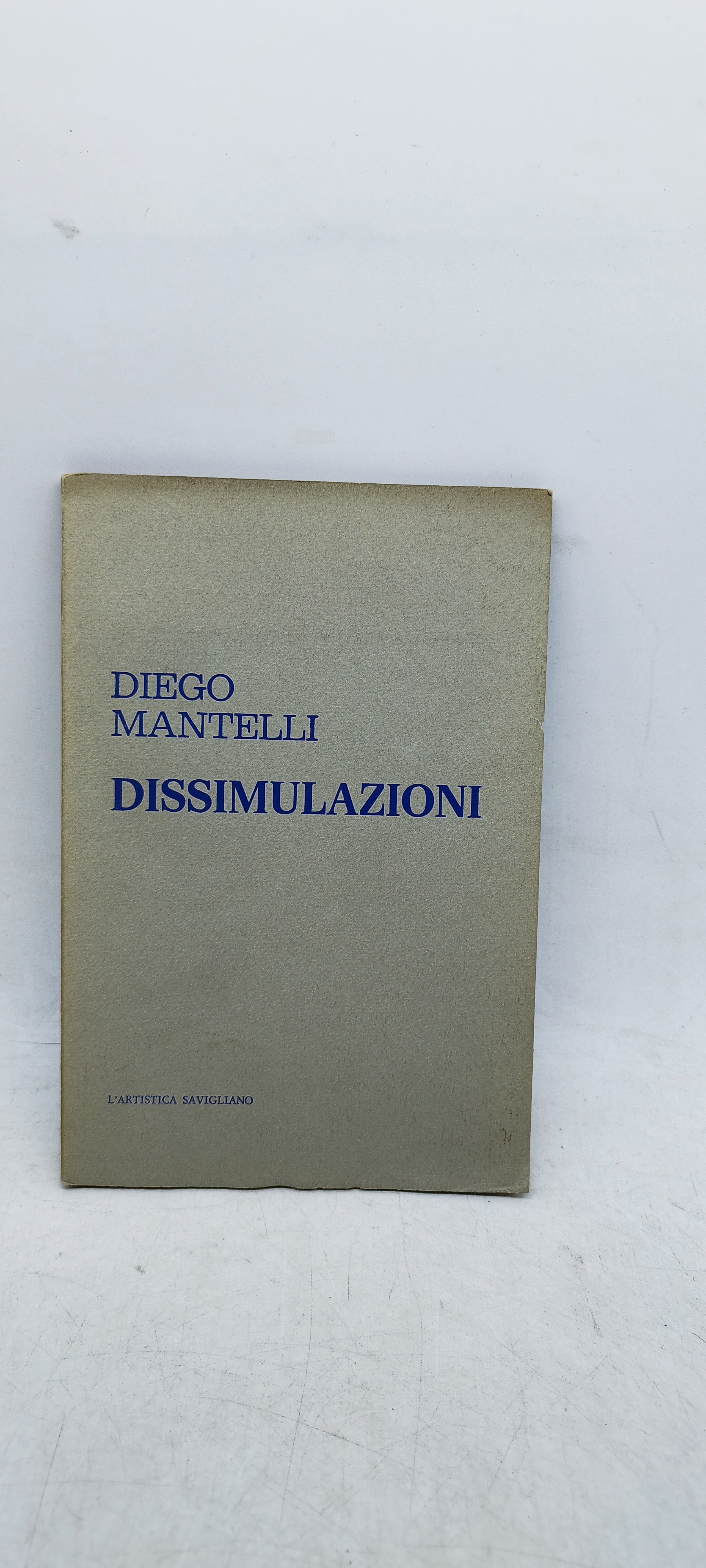 diego mantelli dissimulazioni l'artistica savigliano