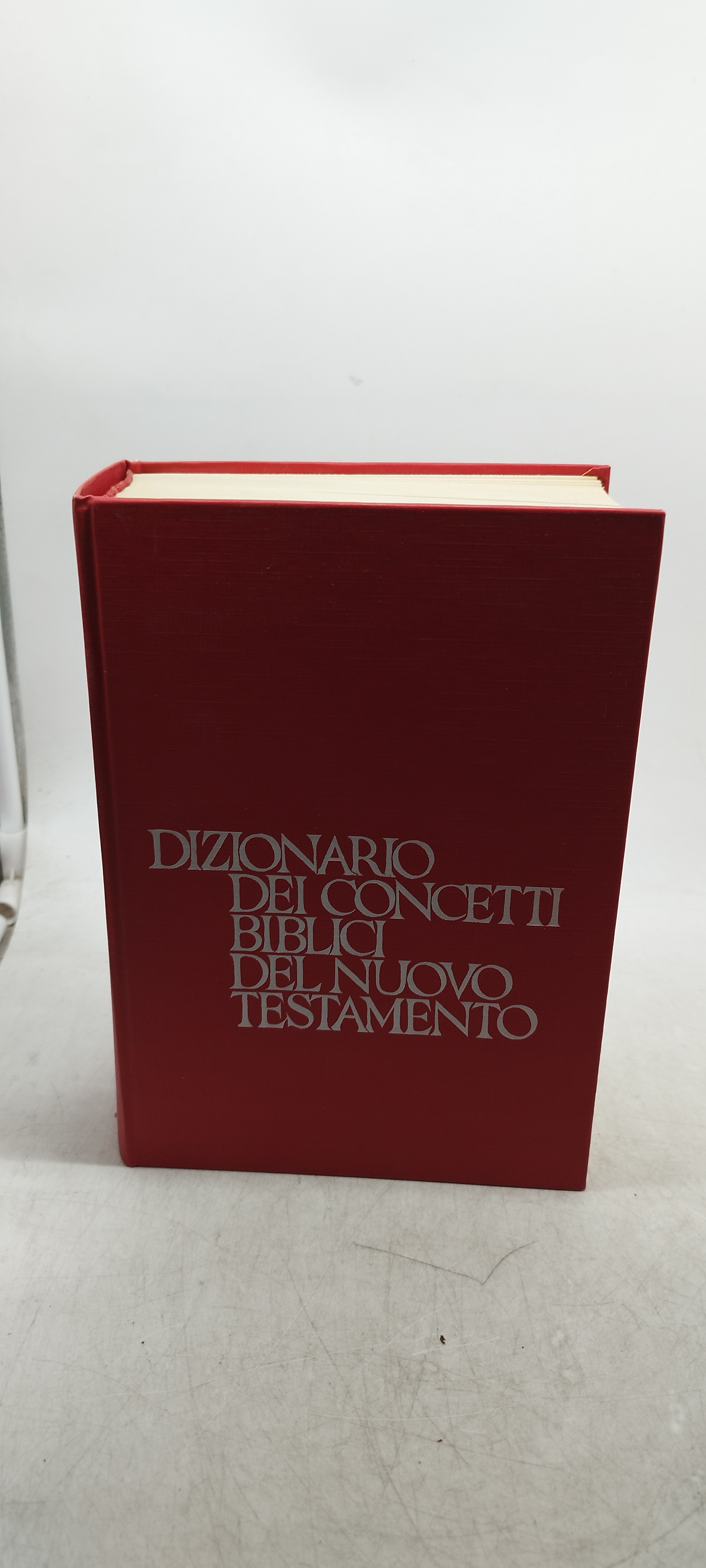 dizionario dei concetti biblici del nuovo testamento