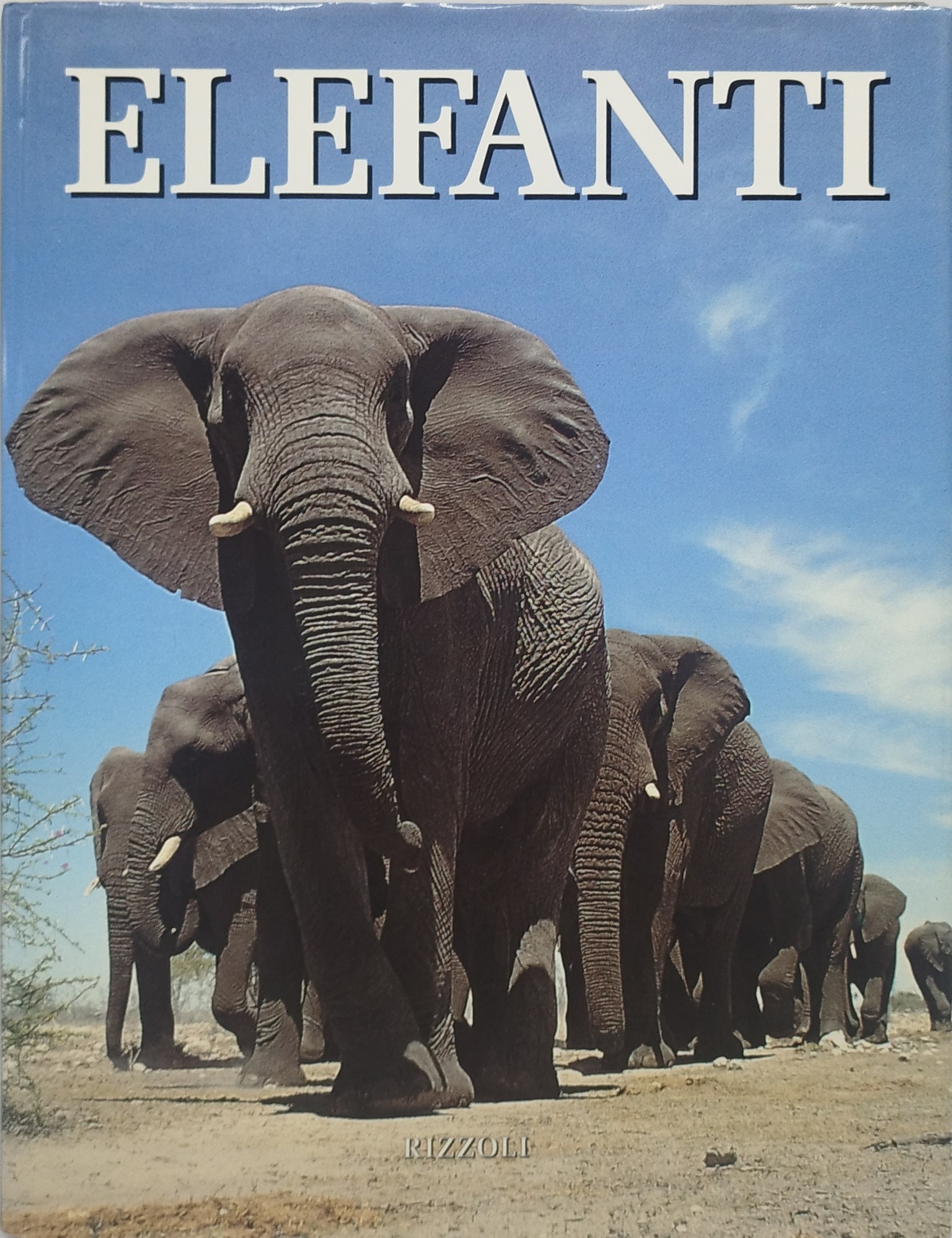 elefanti rizzoli