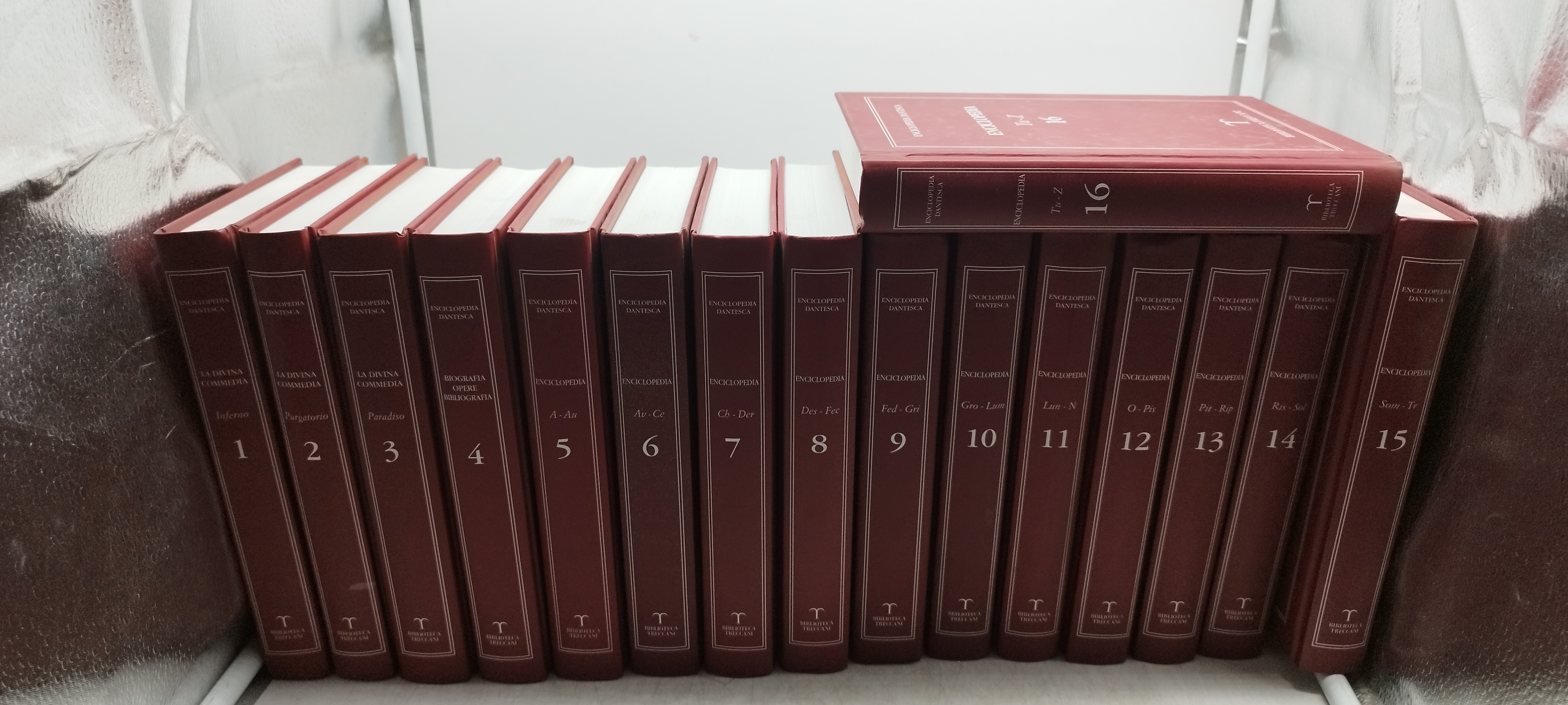 enciclopedia dantesca biblioteca treccani 16 volumi