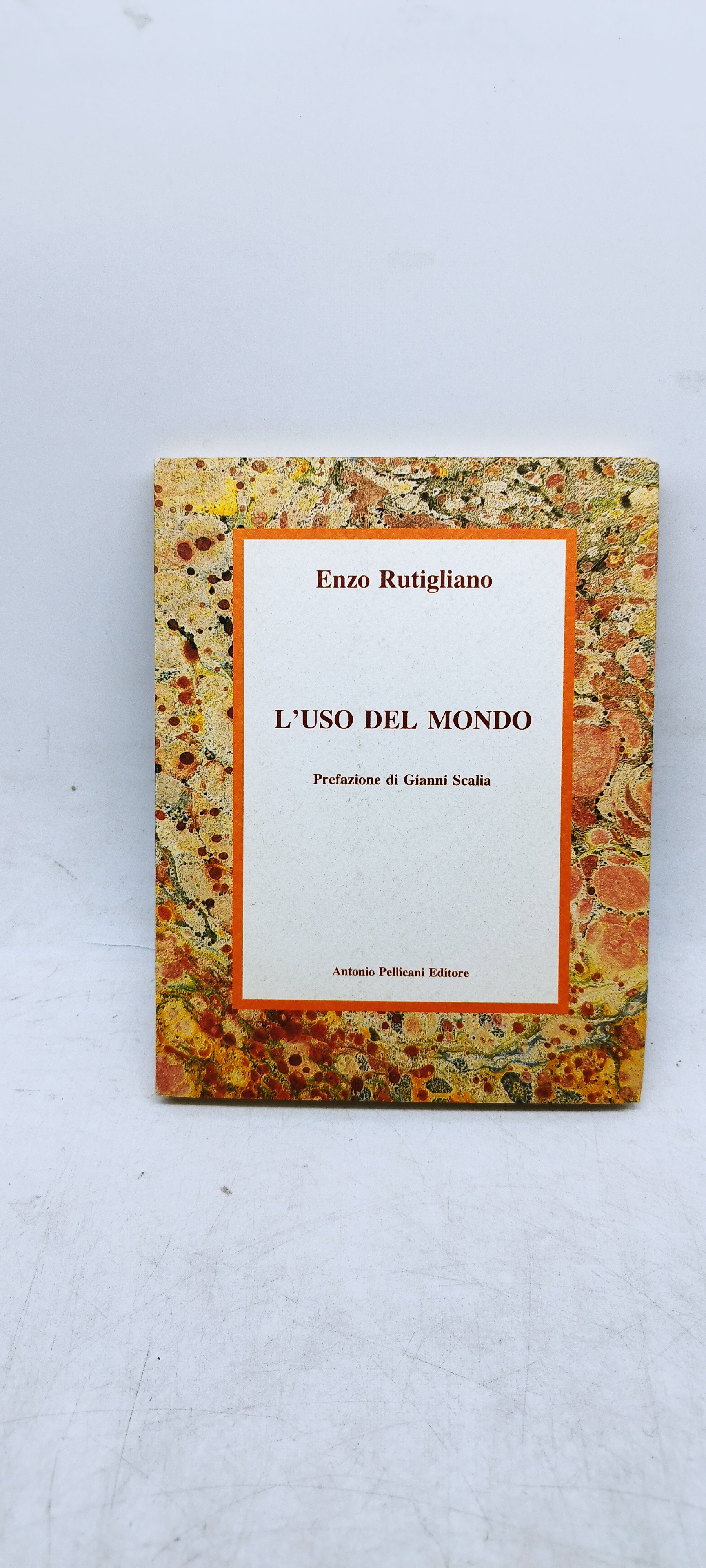 enzo rutigliano l'uso del mondo prefazione di gianni scalia