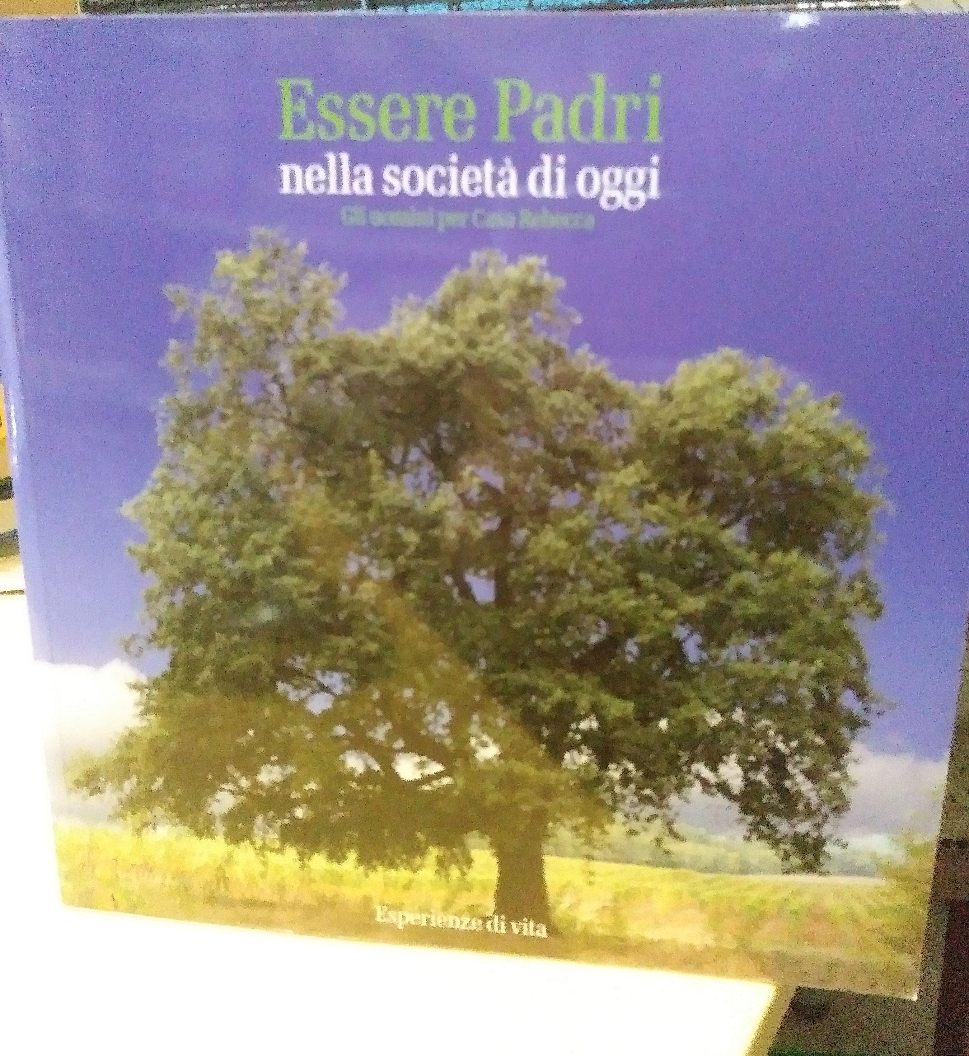 essere padri nella società si oggi esperienze di vita gli …