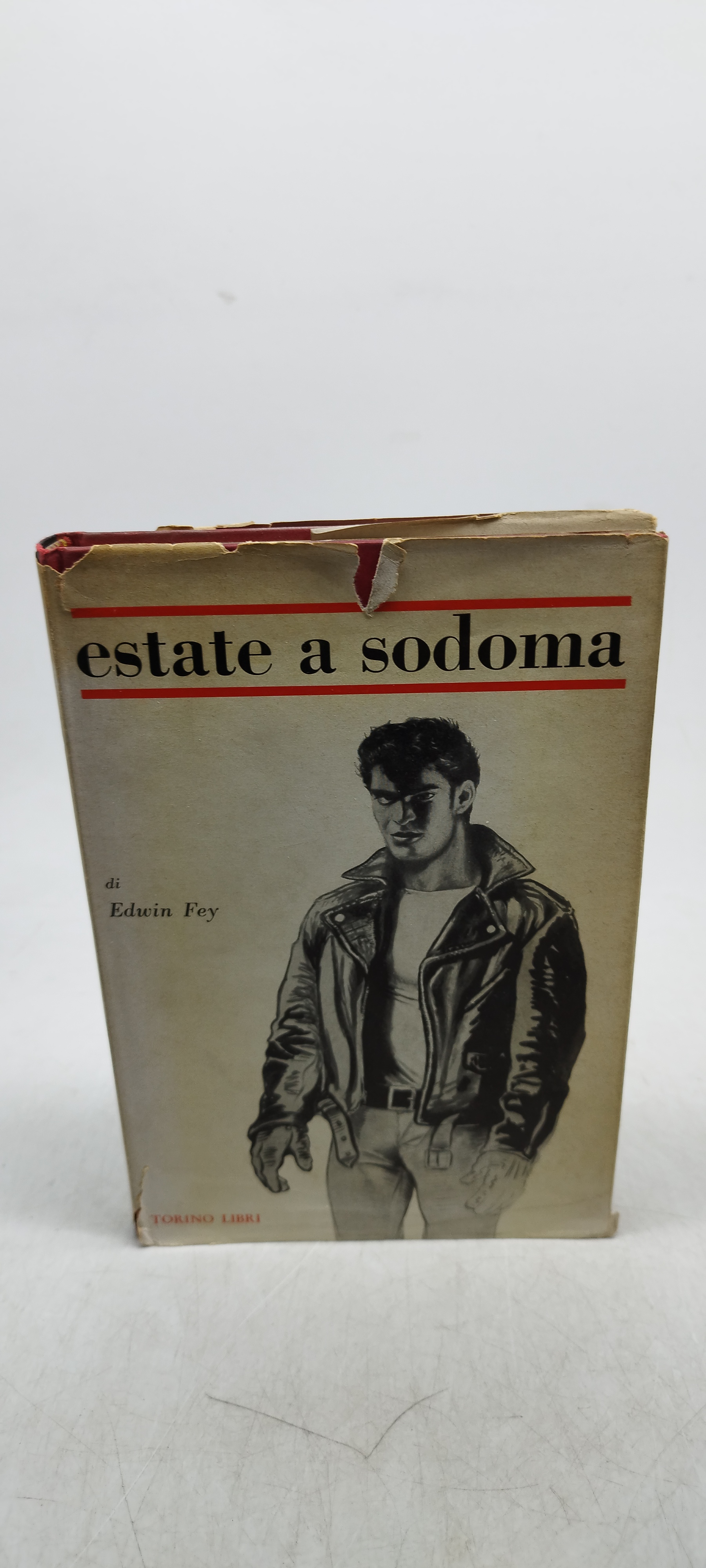 estate a sodoma di edwin fey torino libri