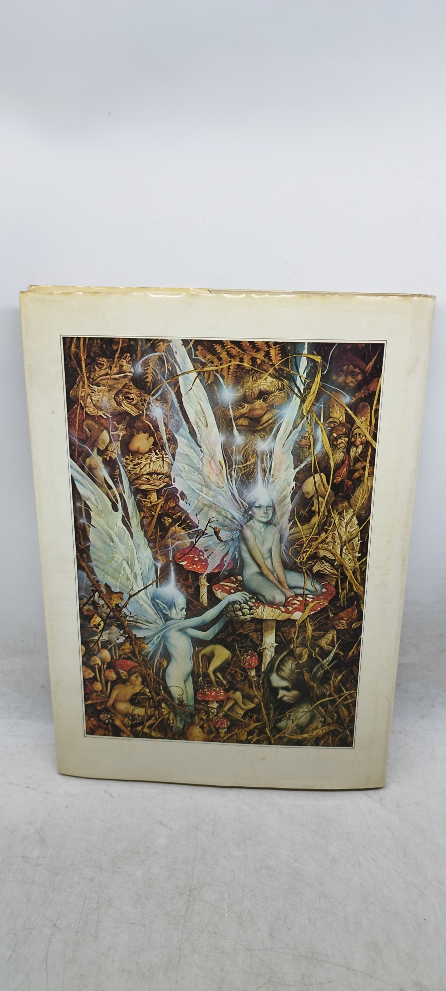 fate david larkin brian froud alan lee rizzoli