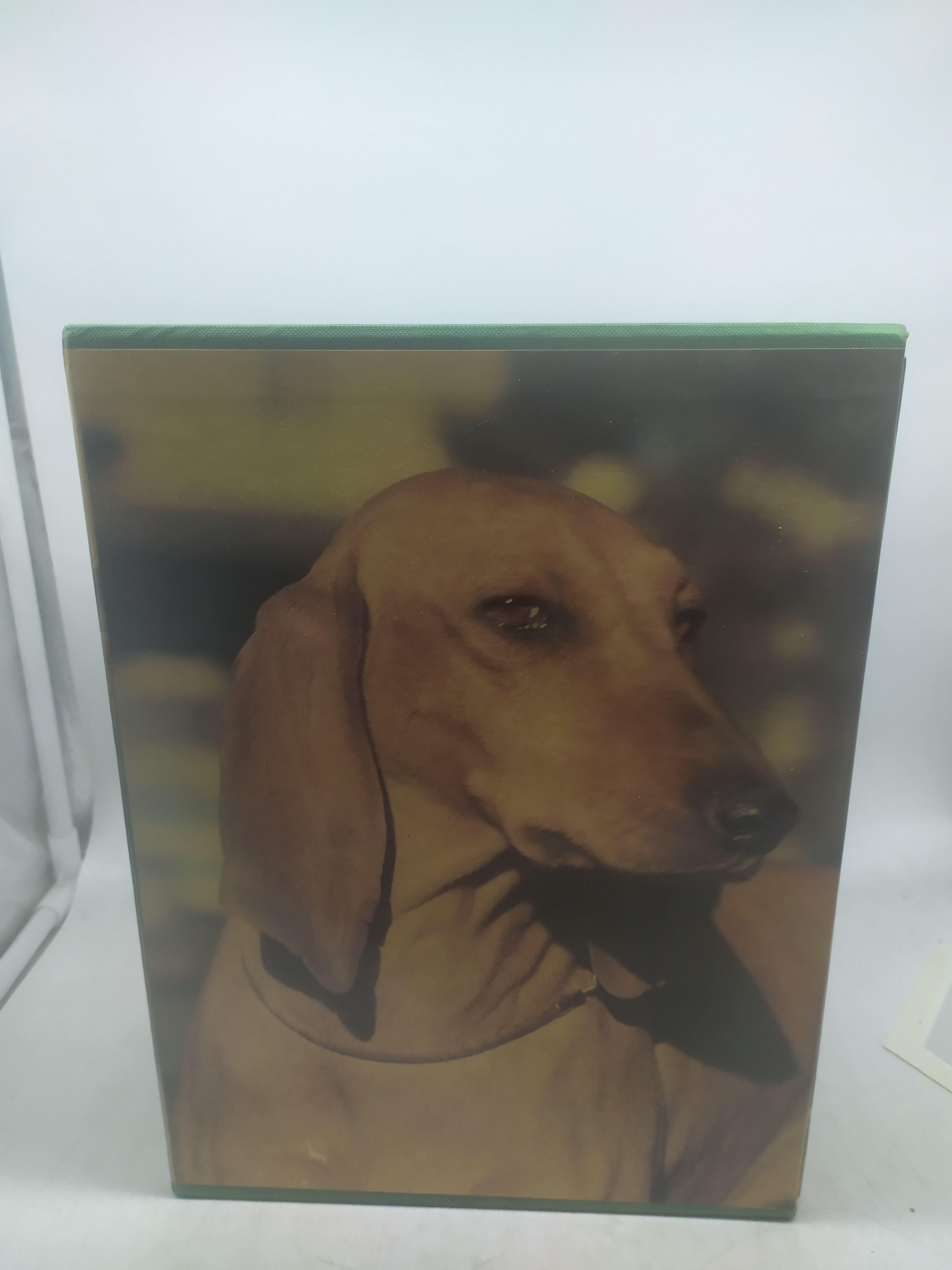 fiorone il mio amico cane rusconi editore 4 volumi con …