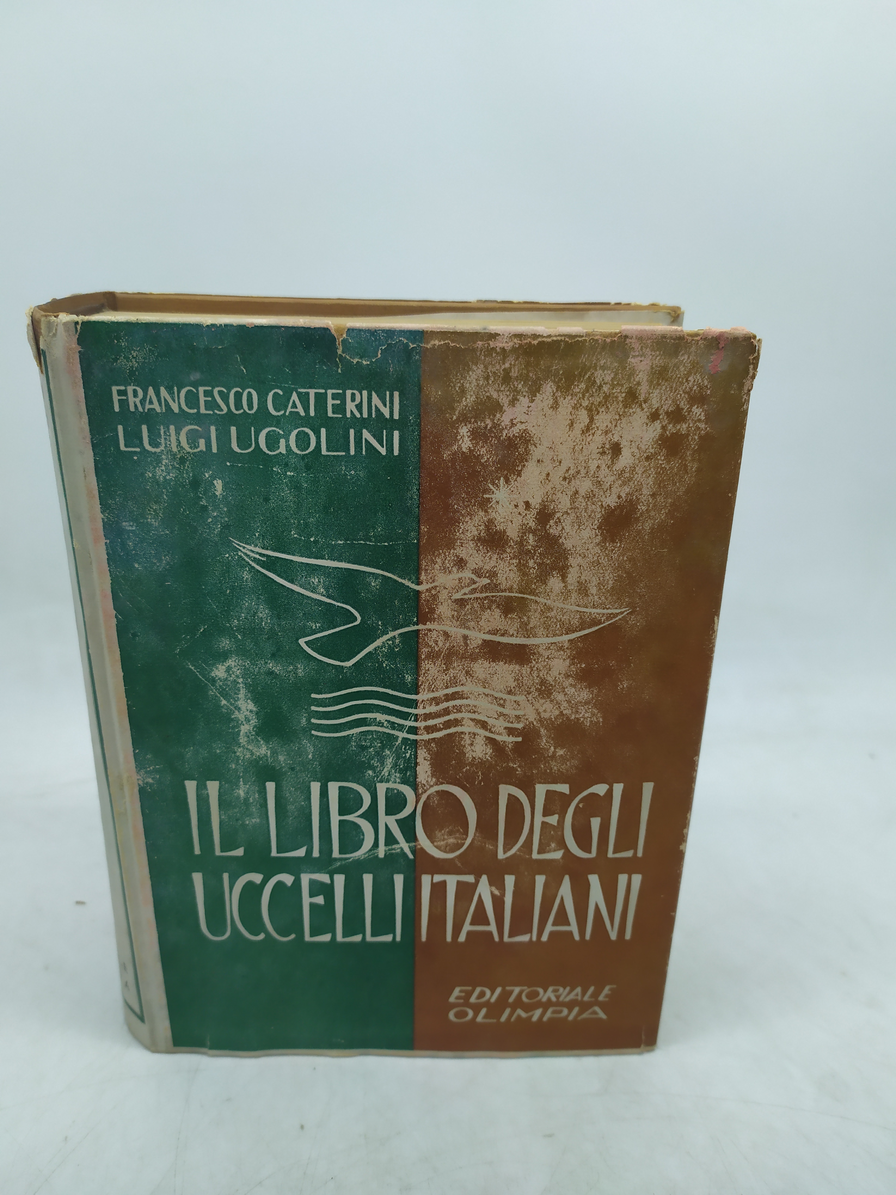 francesco caterni luigi ugolini il libro degli uccelli