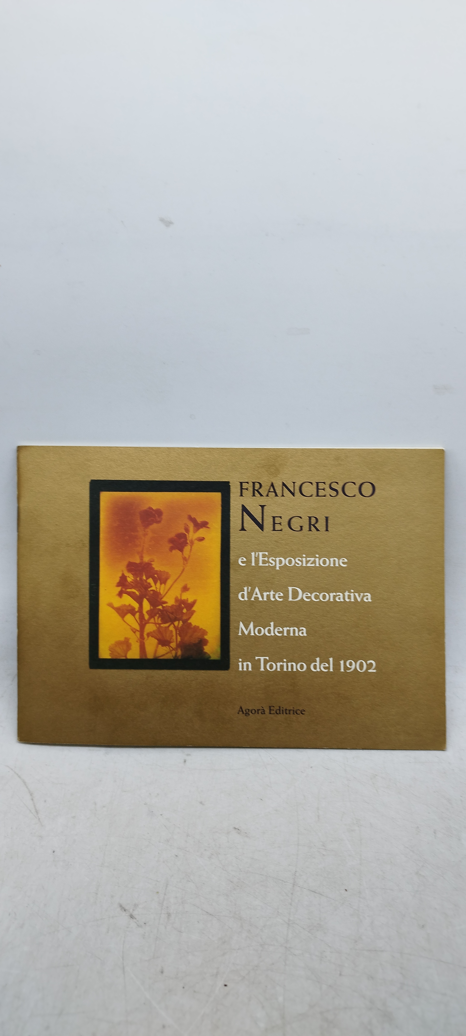 francesco negri e l'esposizione d'arte decorativa moderna in torino del …