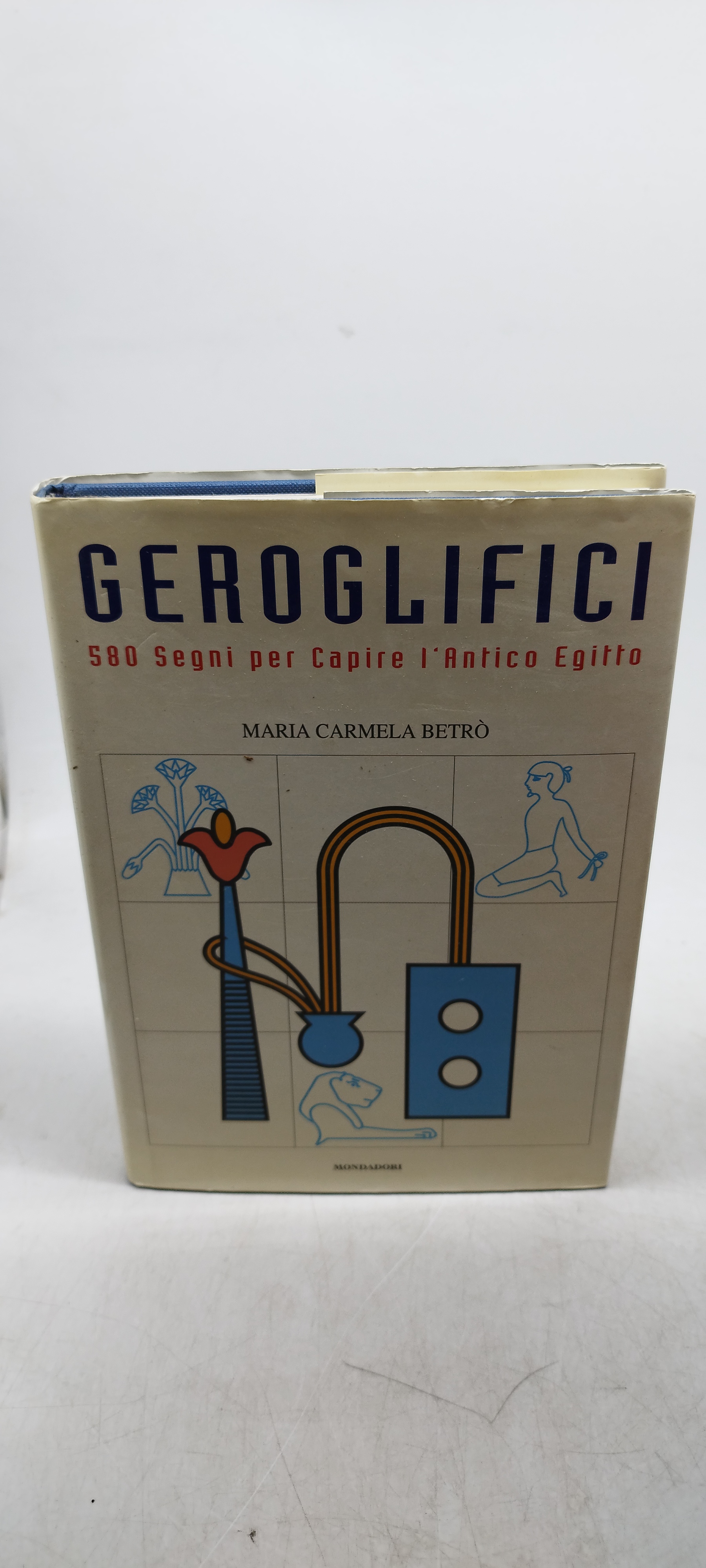 geroglifici 580 segni per capire l'antico egitto