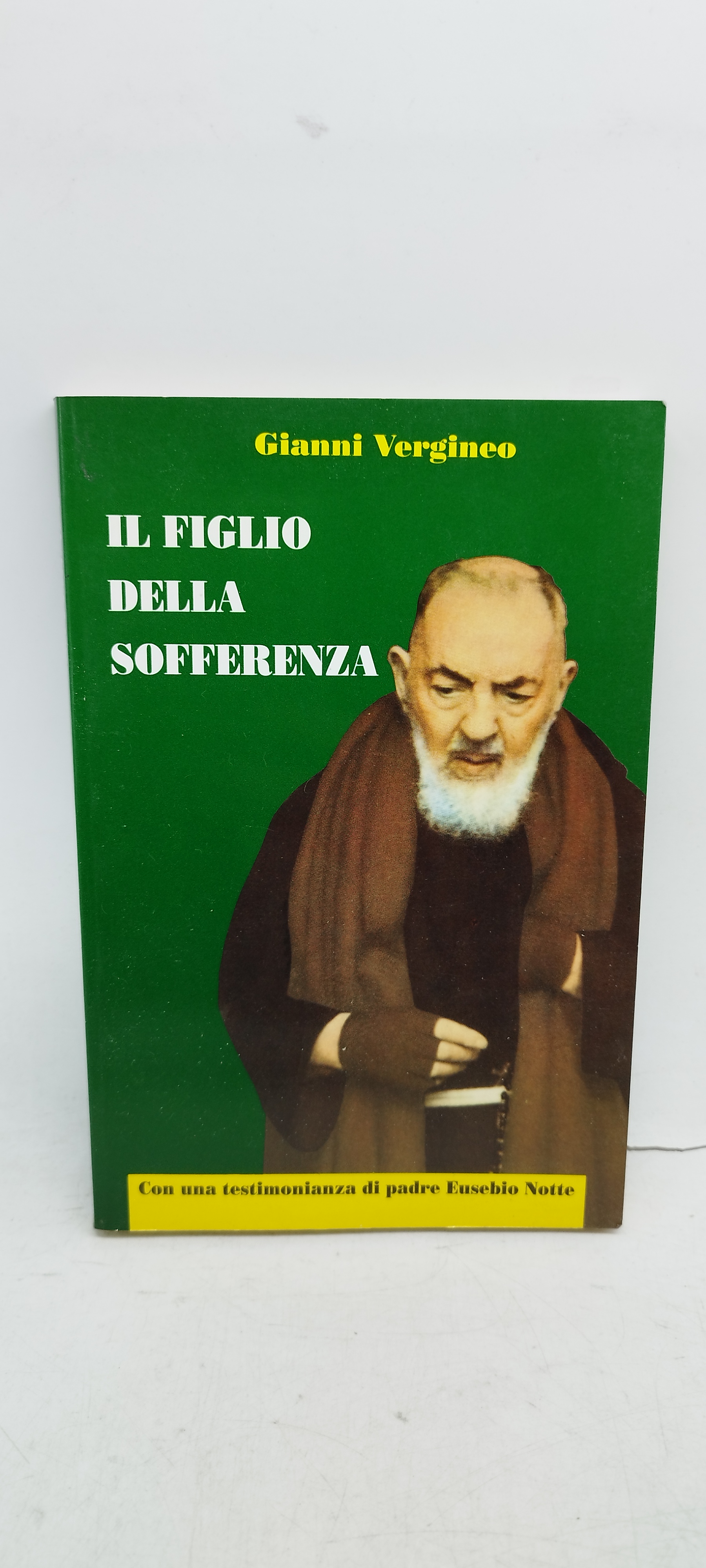 gianni vergineo il figlio della sofferenza