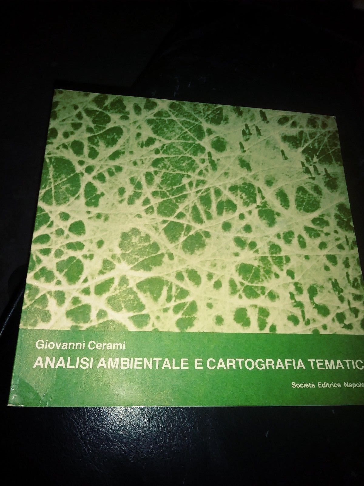 giovanni cerami analisi ambientale e cartografica tematica soc.ed. napoletana