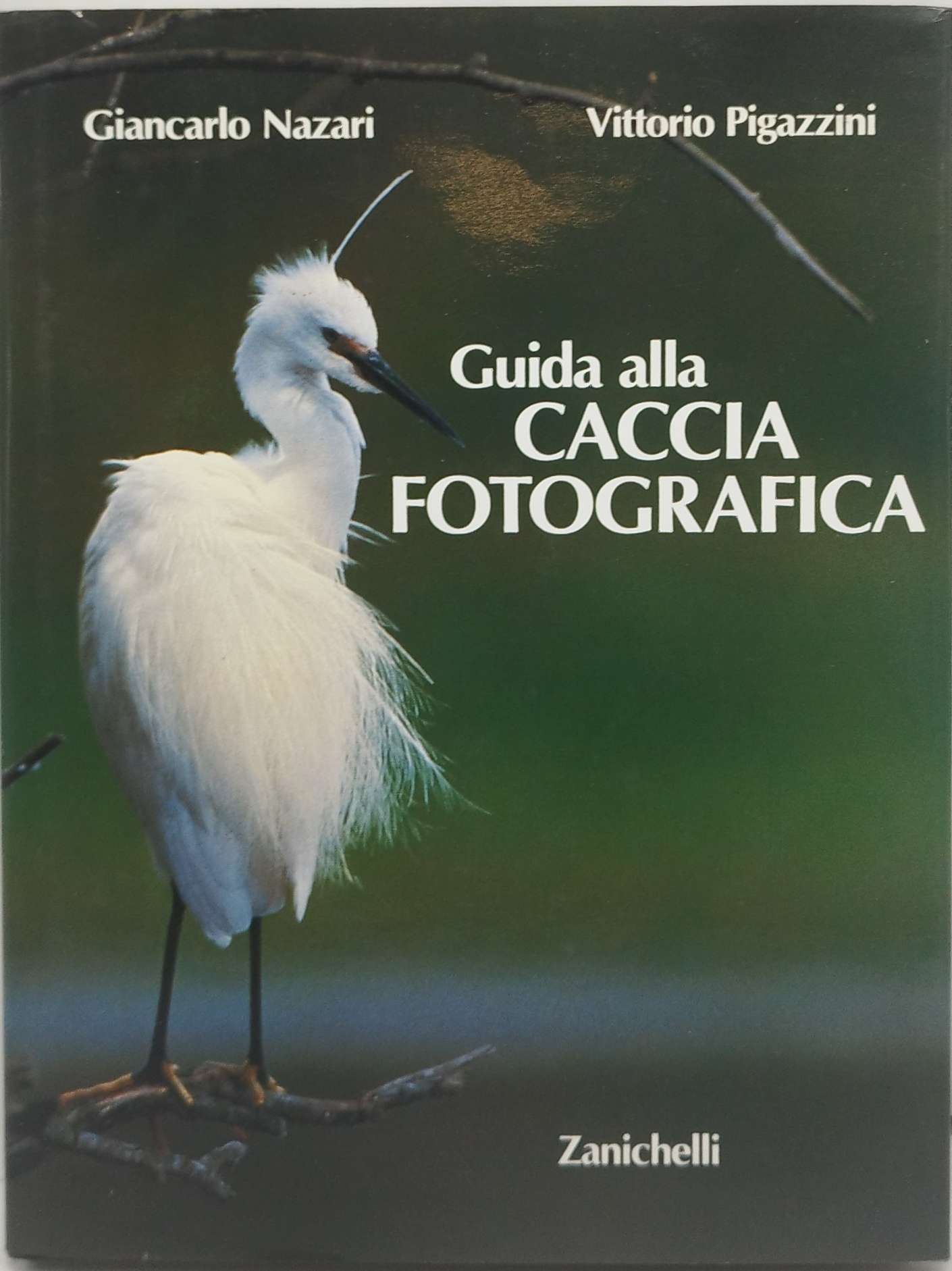 guida alla caccia fotografica zanichelli