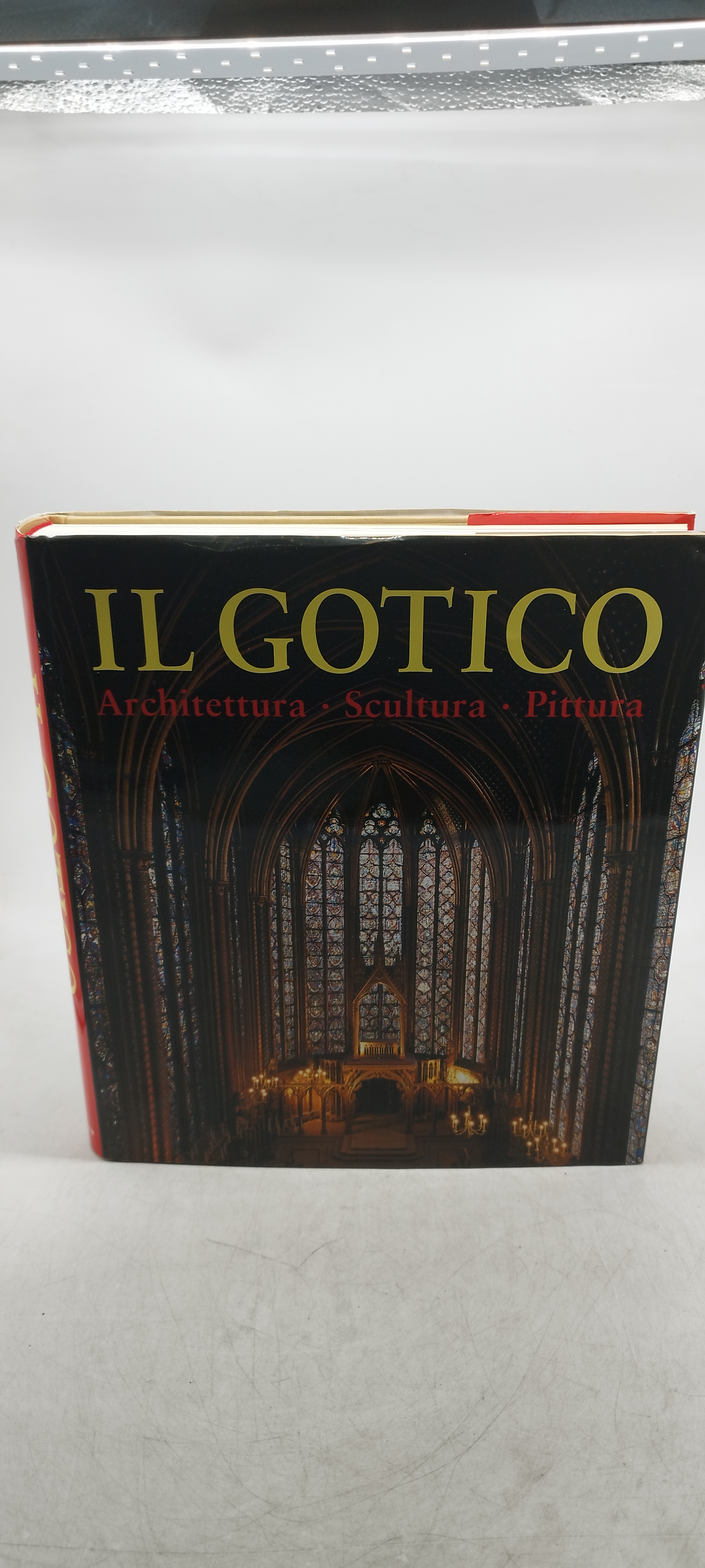 il gotico architettura scultura pittura