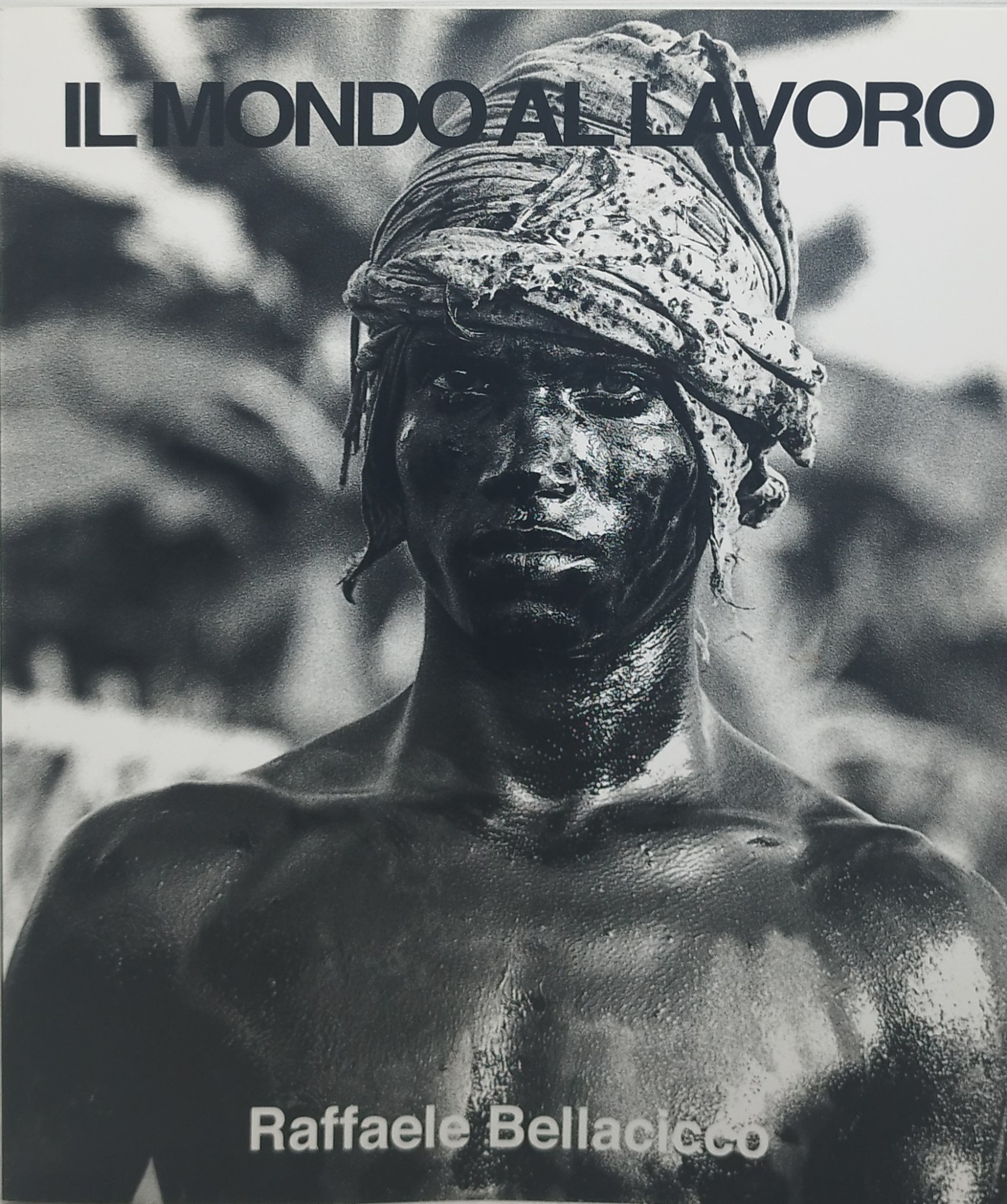 il mondo al lavoro raffaele bellacicco