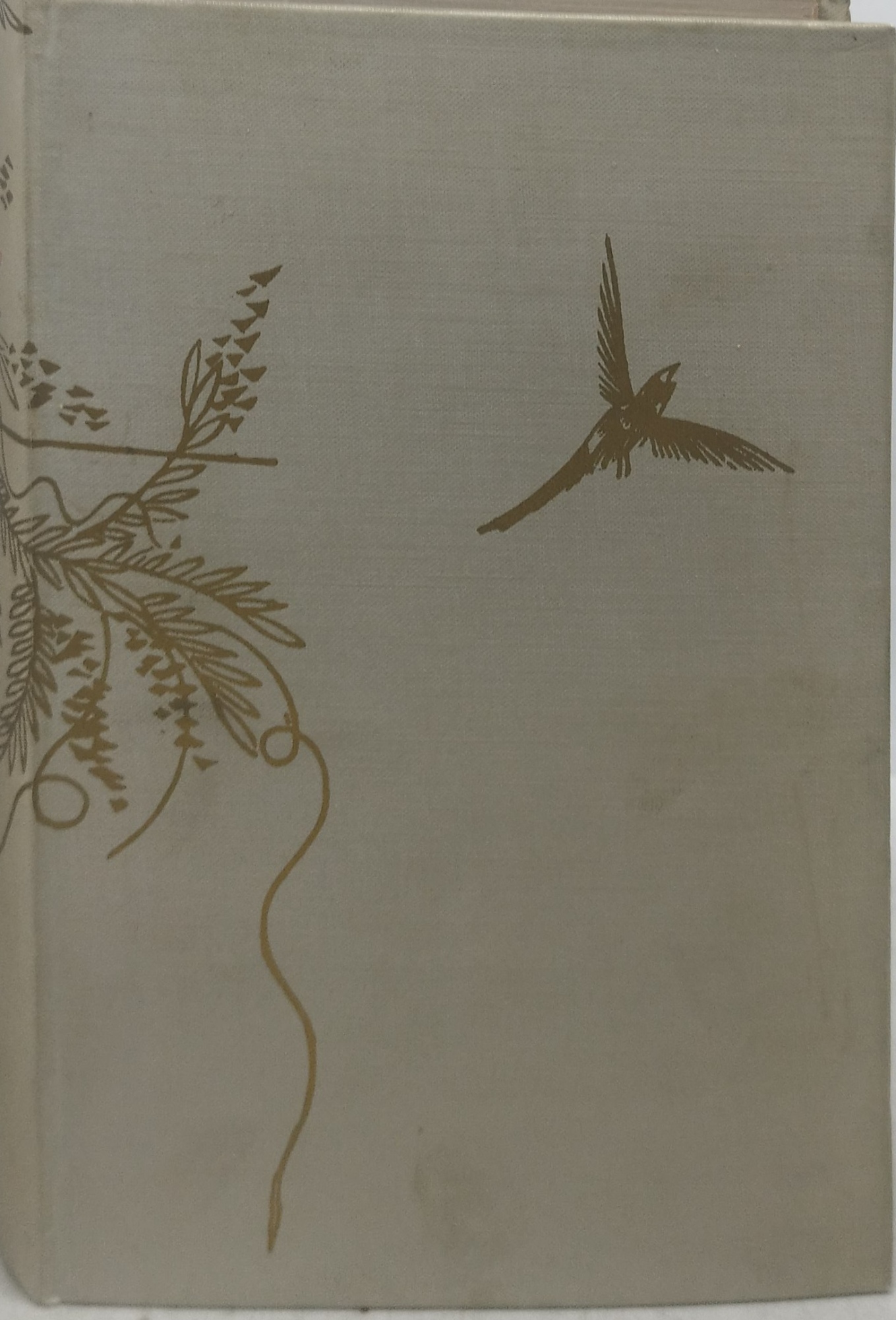 il sogno della camera rossa einaudi i millenni