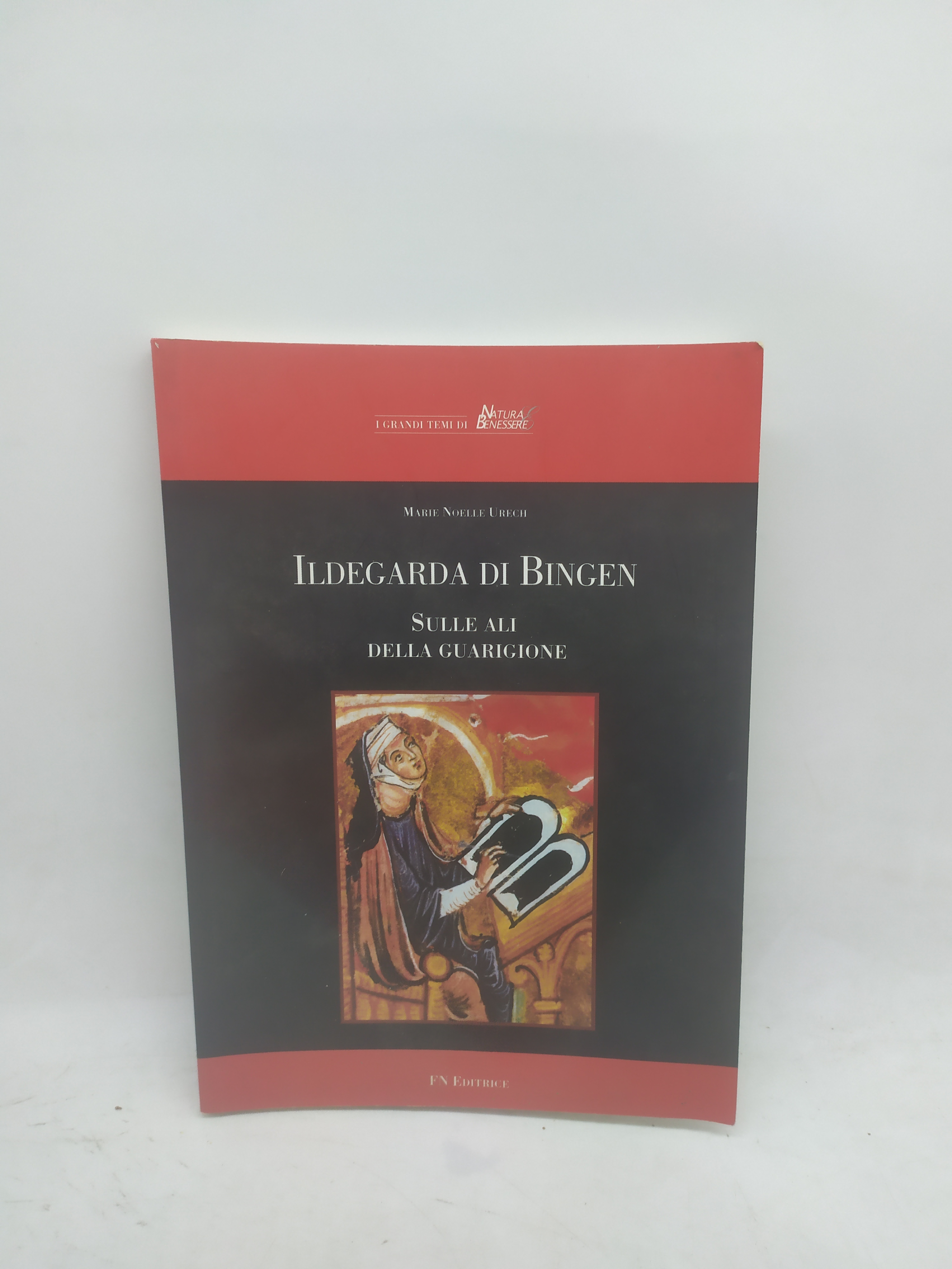 ildegarda di bingen sulle ali della guarigione fn editrice