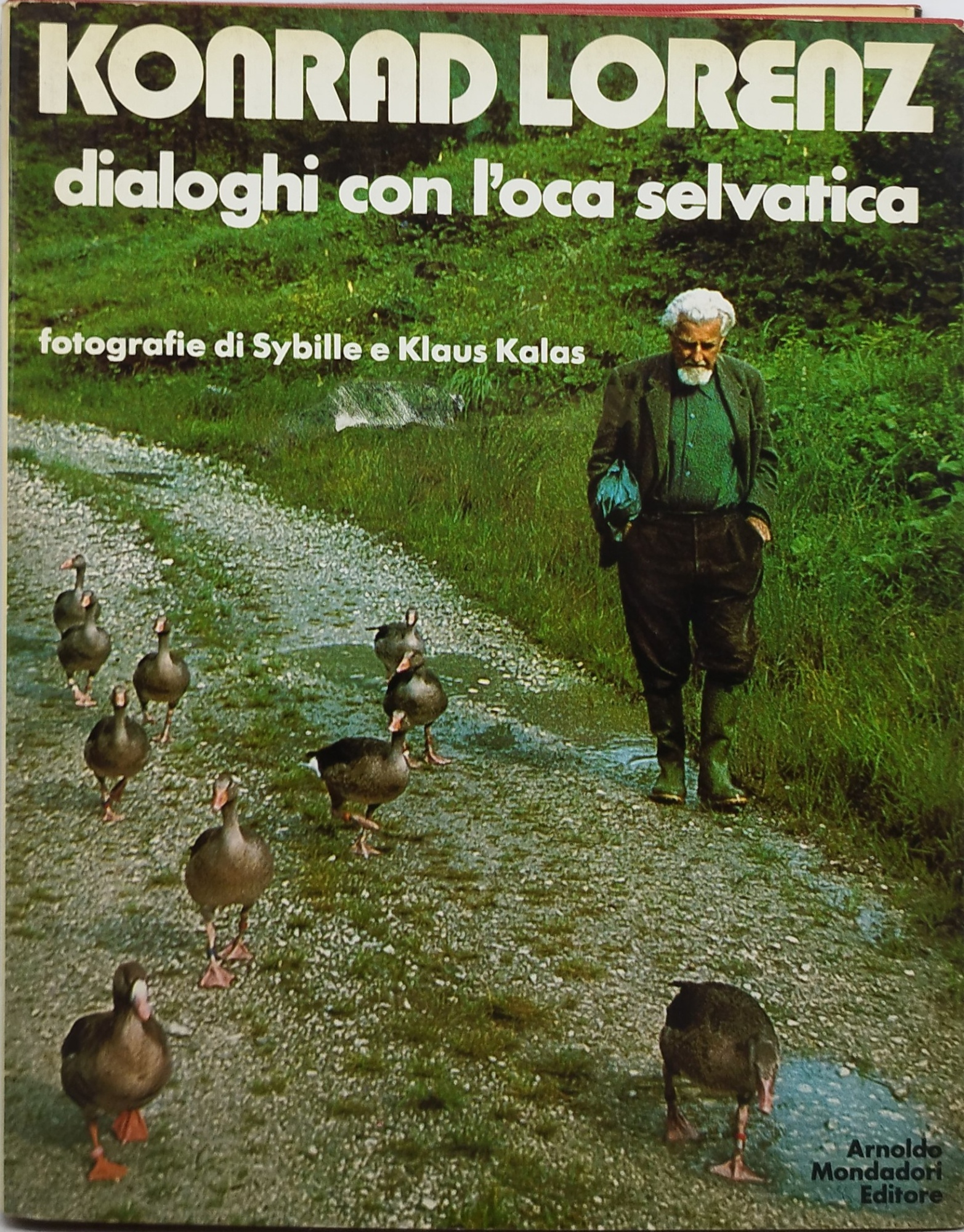 konrad lorenz dialoghi con l'oca selvatica fotografie di sybille e …