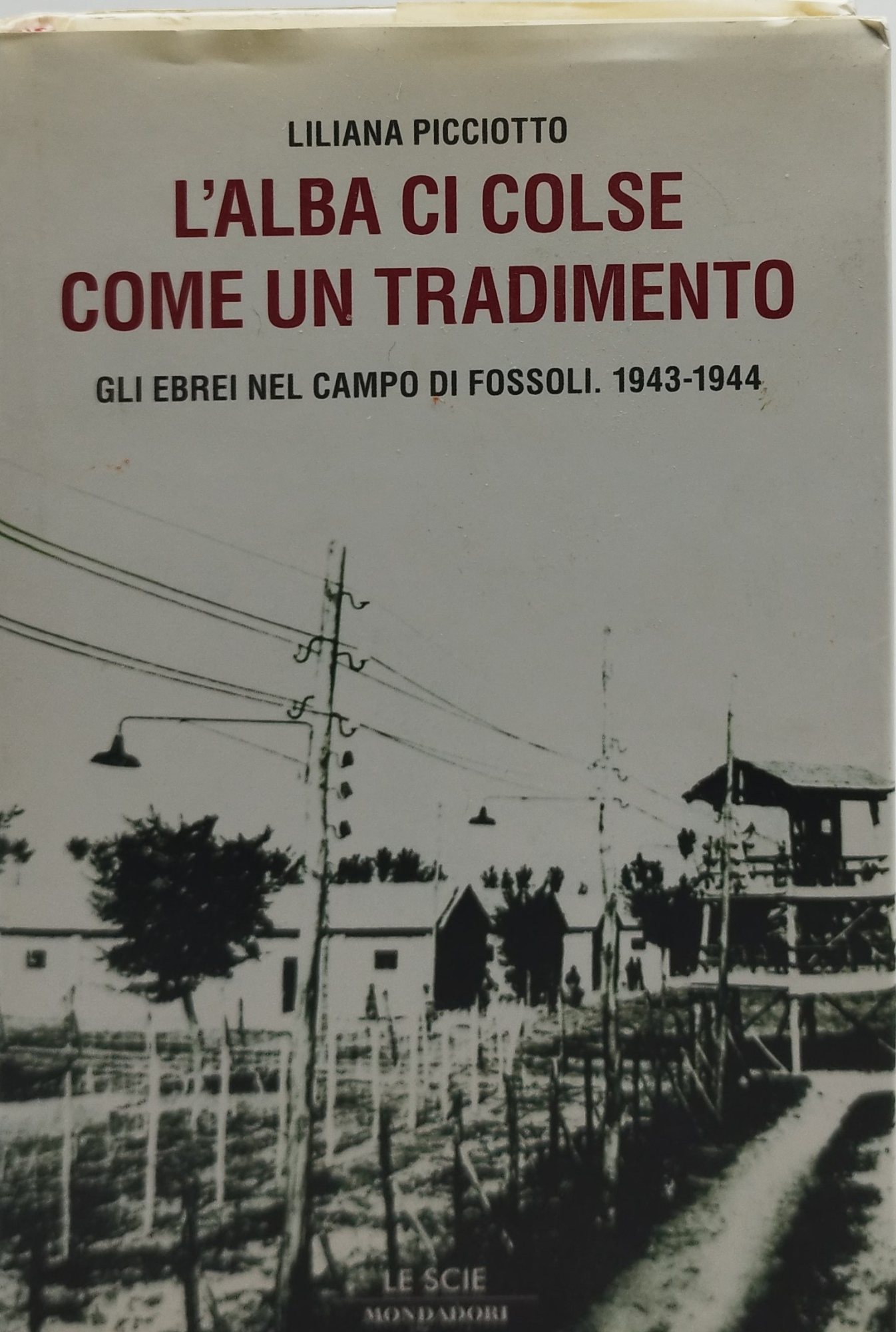 l'alba ci colse come un tradimento liliana picciotto
