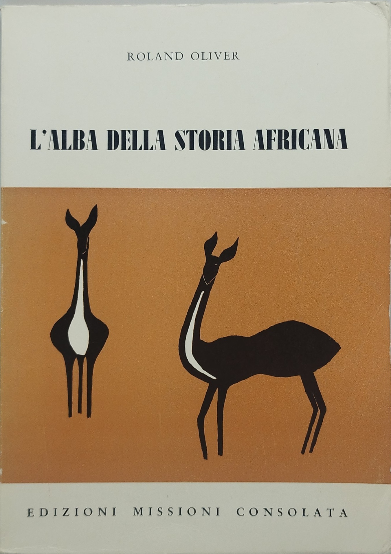 l'alba della storia aficana