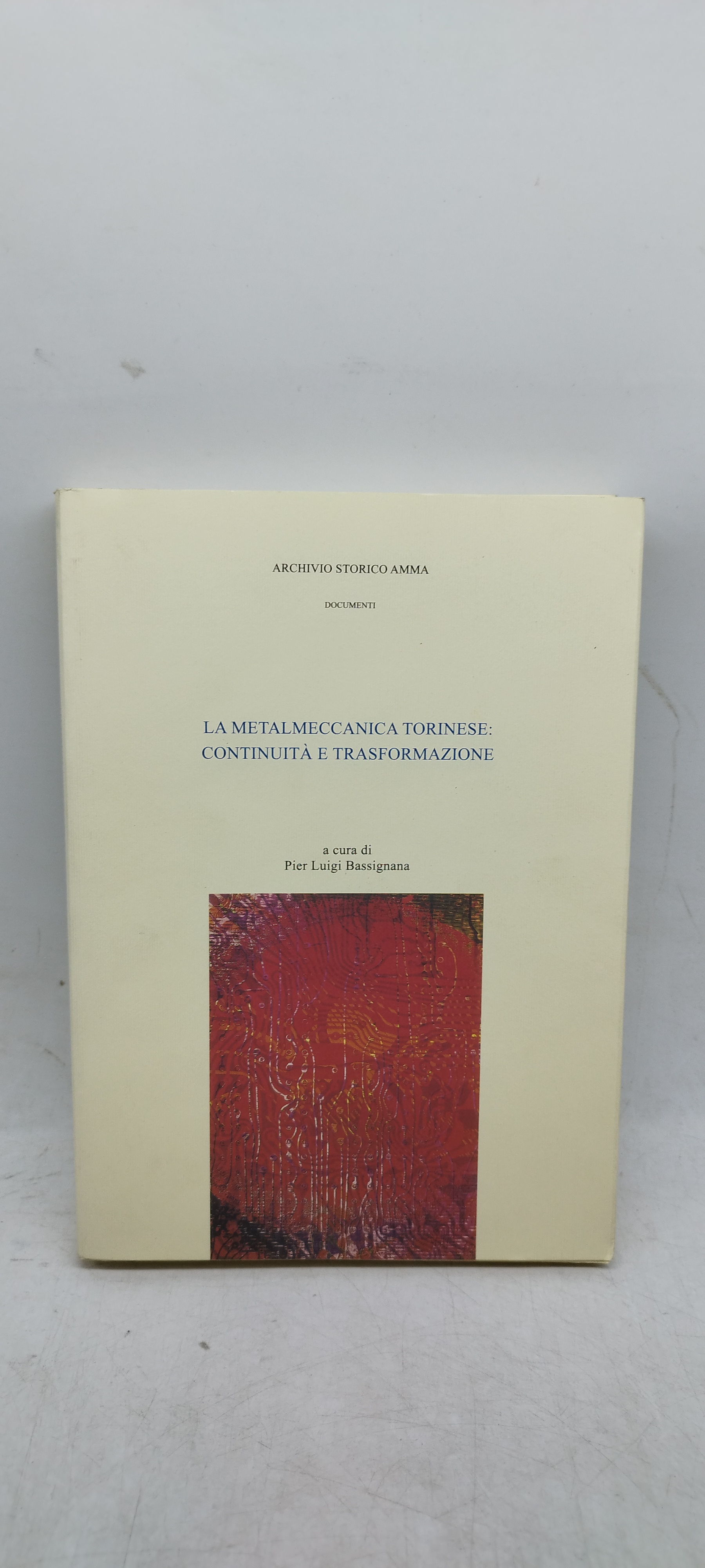 la metalmeccanica torinese continuità e trasformazione pier luigi bassignana