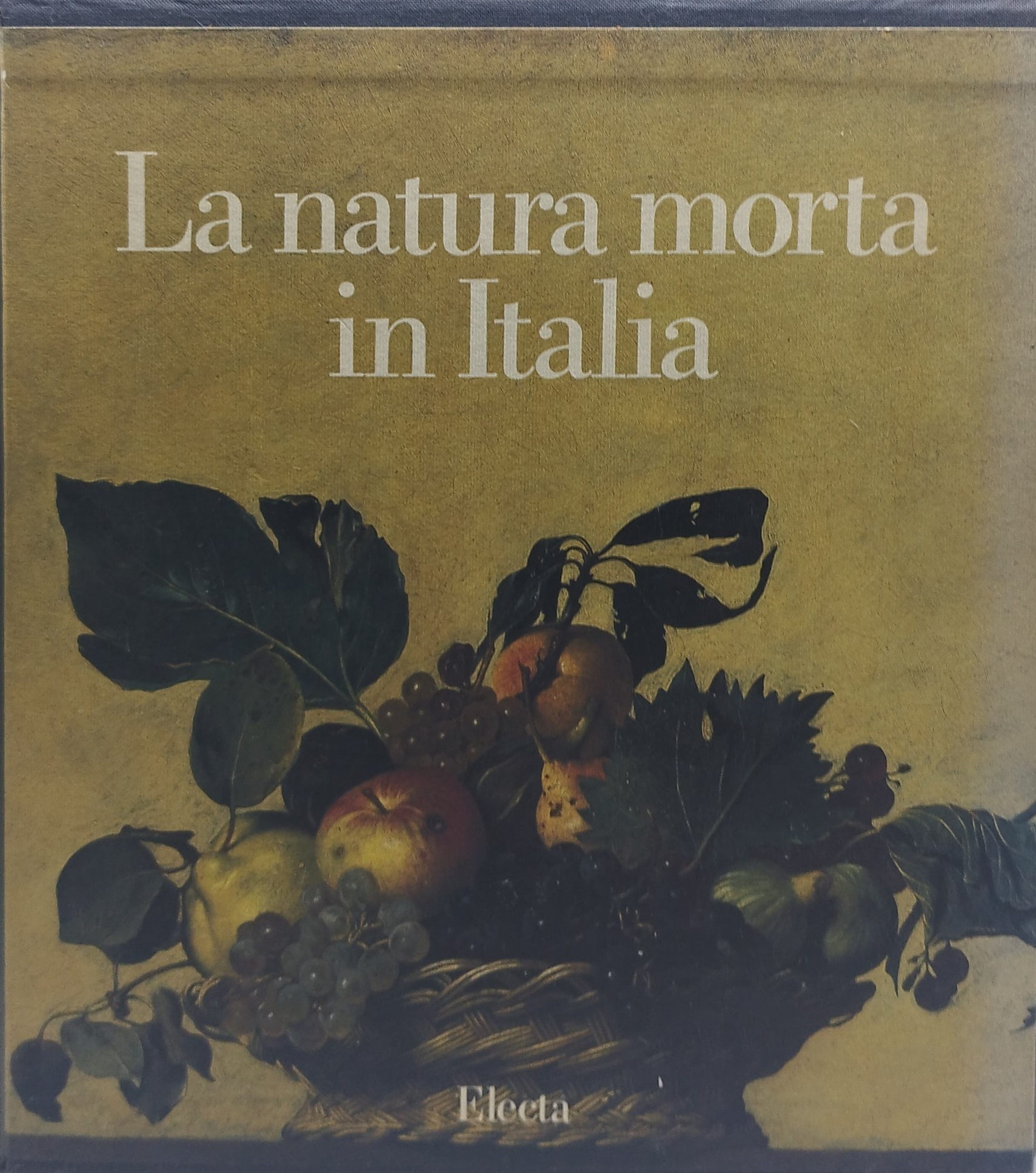 la natura morta in italia 2 tomi electa