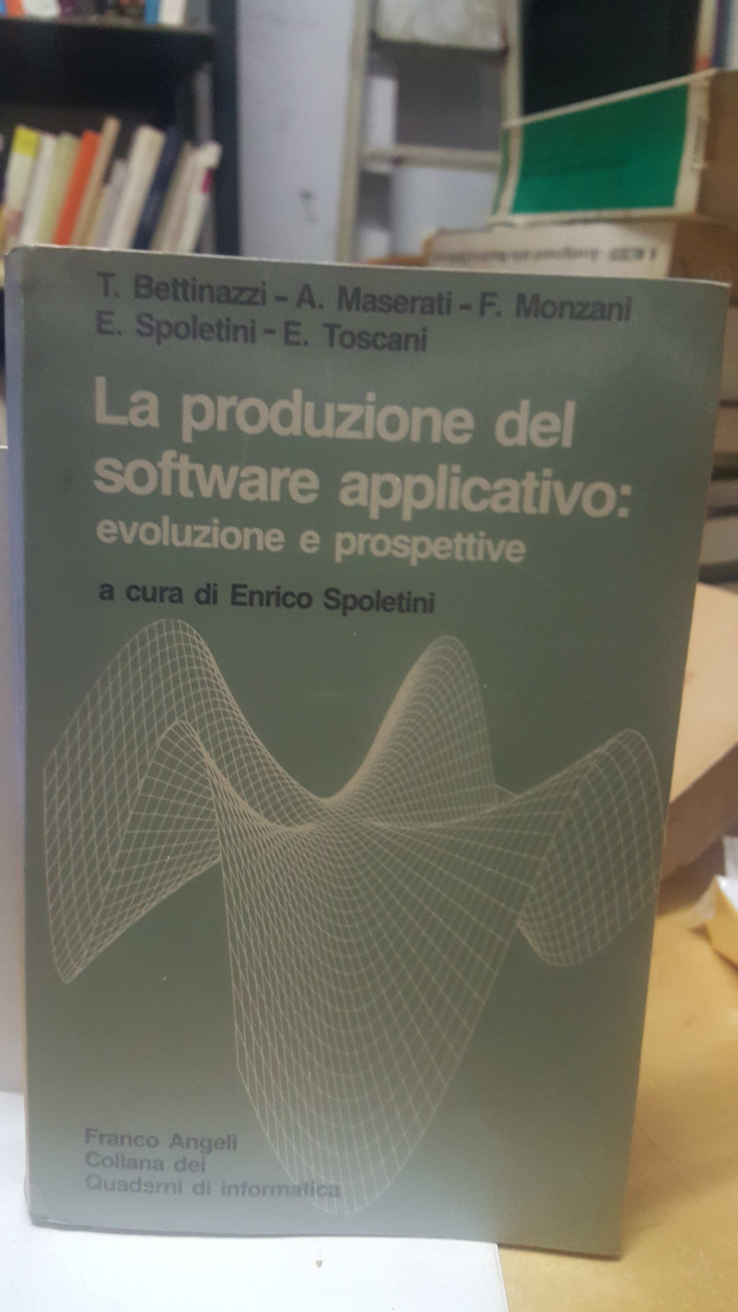 la produzione del software applicativo evoluzione e prospettive