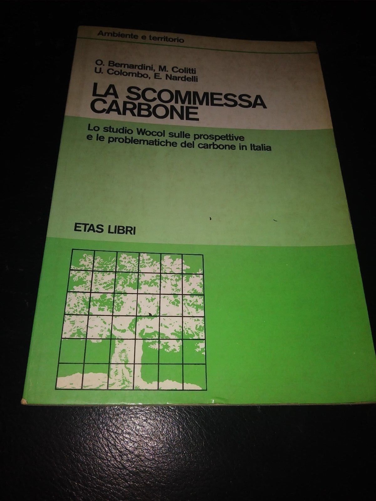 la scommessa carbone embiente e territorio studio wocol problematiche carbone