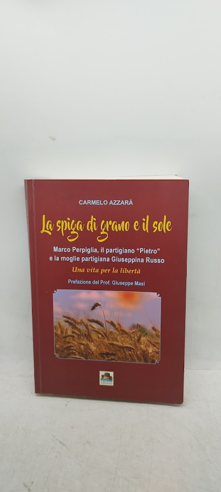 la spiga di grano e il sole