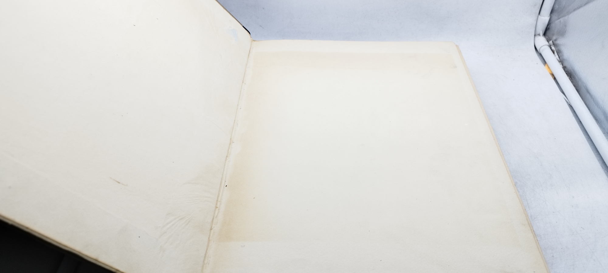 la storia naturale illustrata i mammiferi descritti e figurati c. …