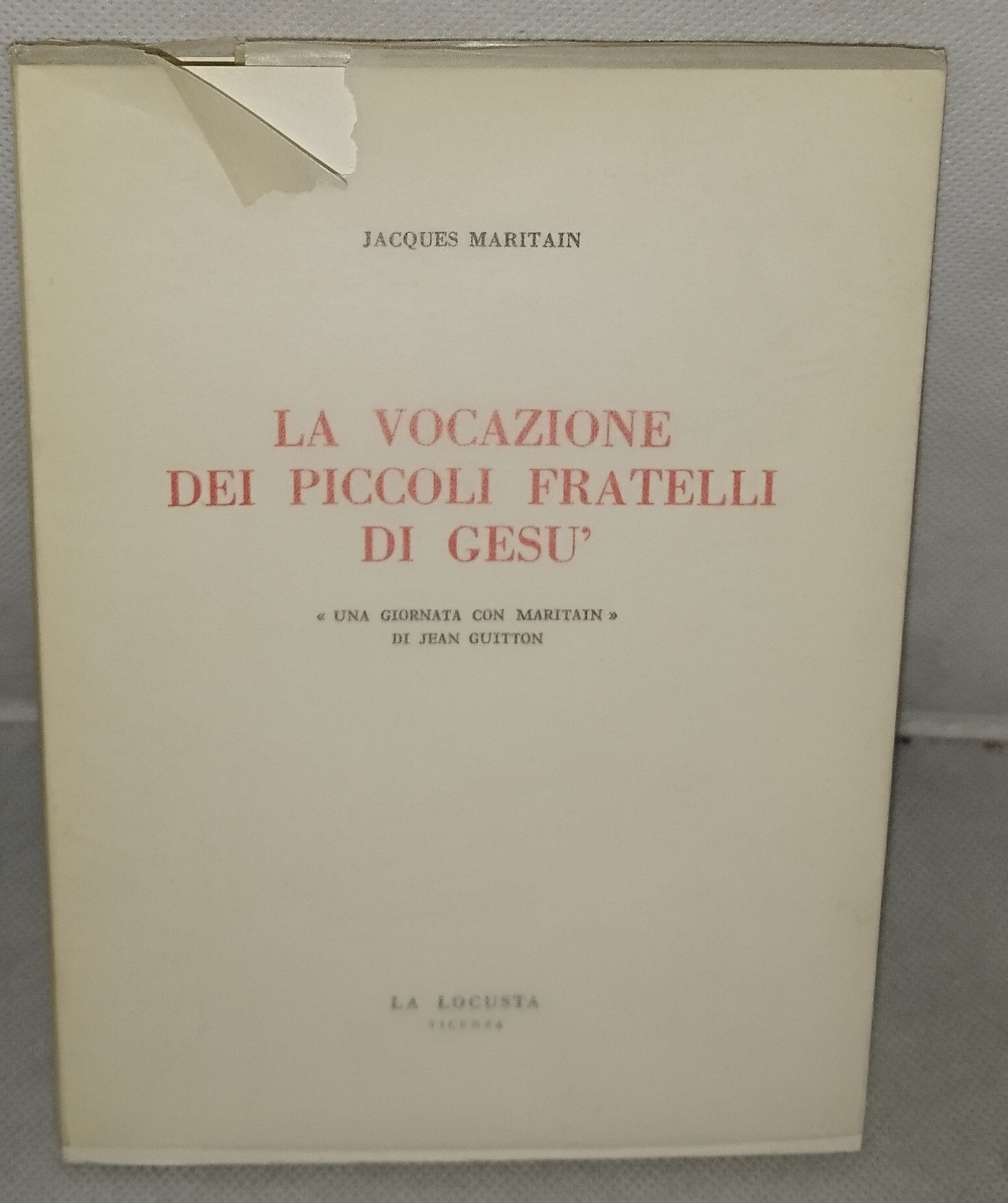 .la vocazione dei piccoli fratelli di gesu